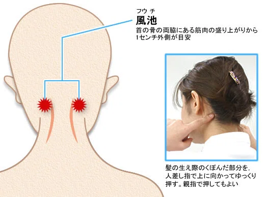 風池について|おからだ治療院