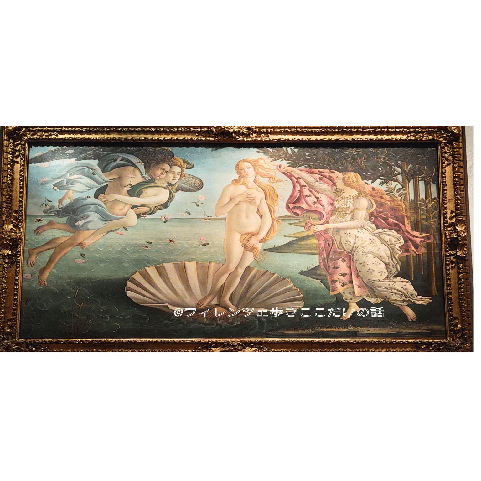 ボッティチェッリ 「ヴィーナスの誕生」 ｜フィレンツェ歩き ここだけの話