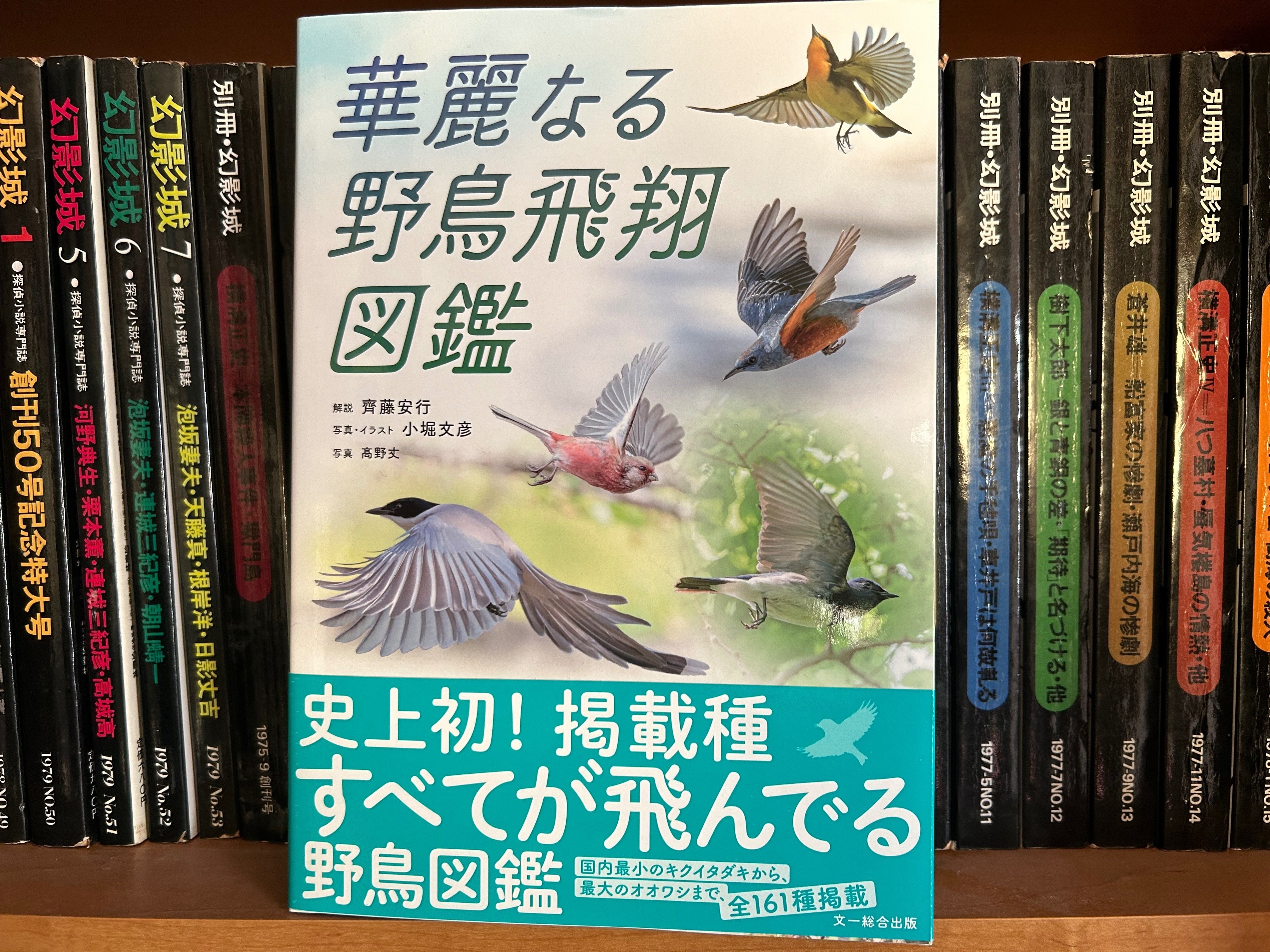 飛ぶ小鳥を撮る(2024)｜TOLIMAN Hondα