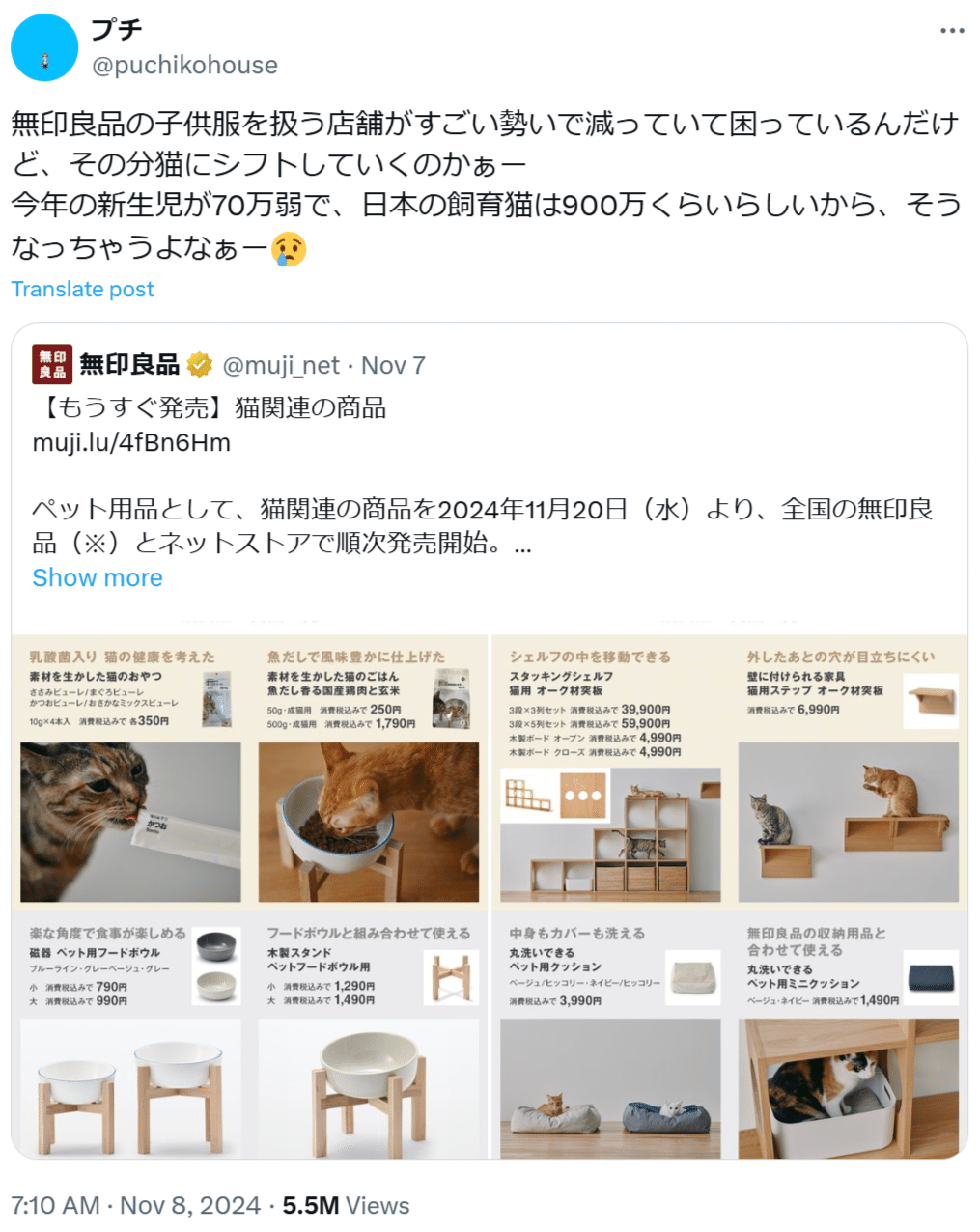 猫饅頭ページ 白饅頭日誌：11月19日「猫の勝利」｜白饅頭