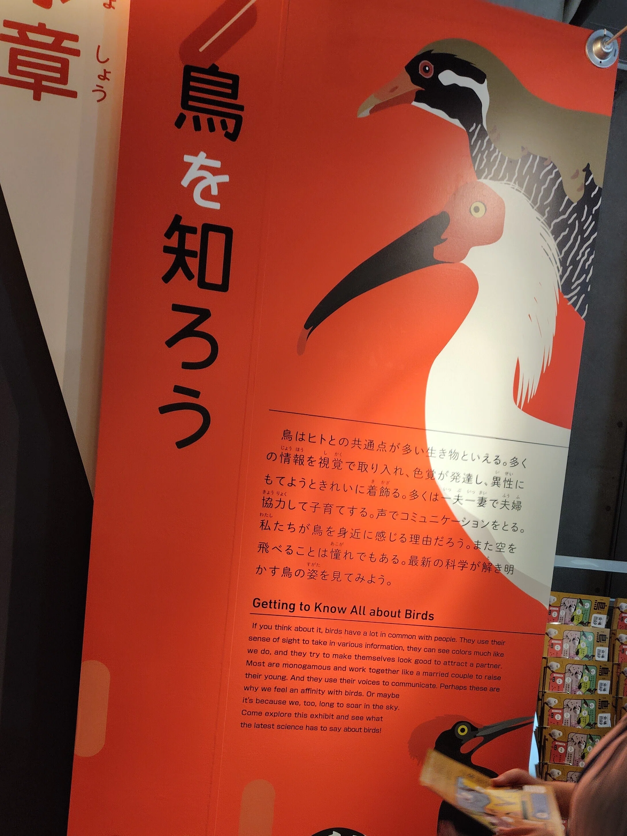 鳥展』に行ってきました！｜とりのすジュン
