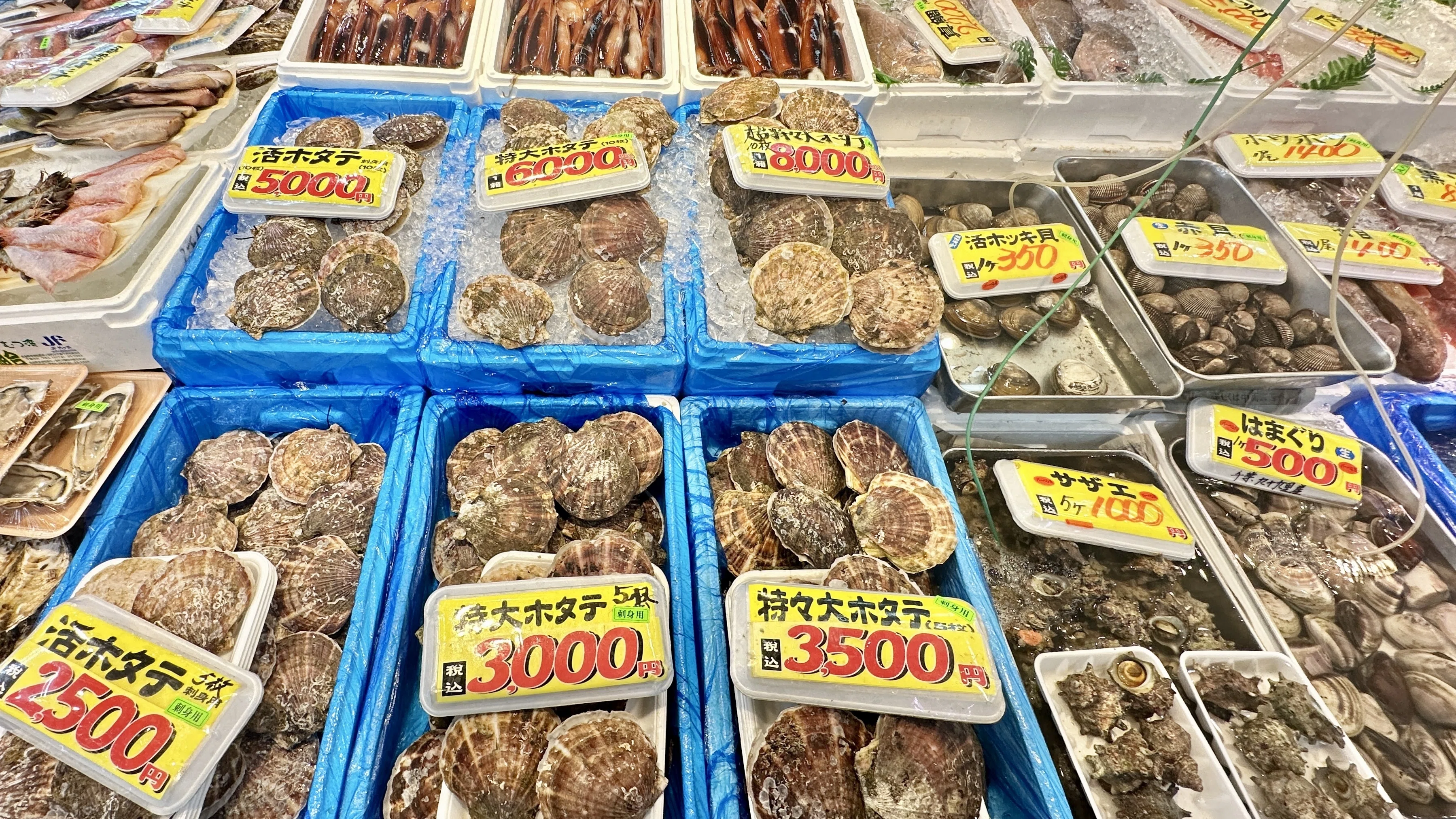 【大特価｜送料込】★現品のみ★ 青森県八戸市①③_在庫1点のみ 青森時間.jp】第3回:八戸の魅力を丸ごと体験！八食センター紀行