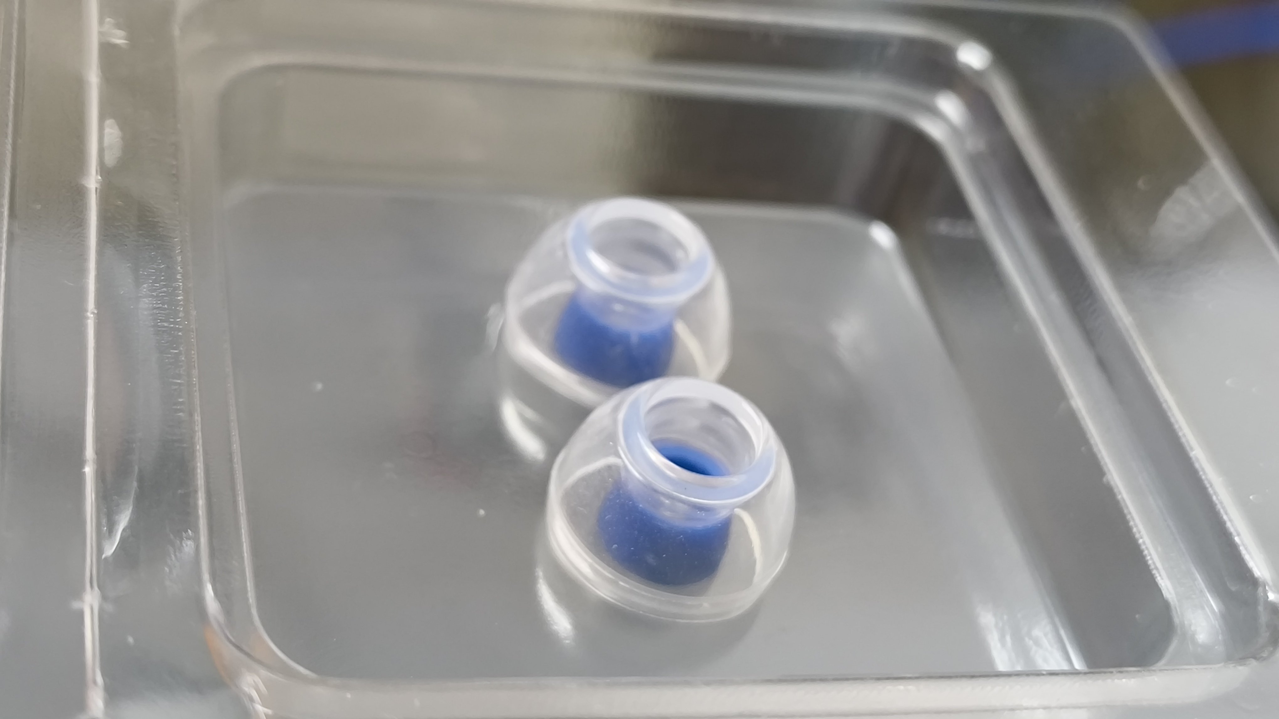 息をするイヤホン】Night Oblivion Butastur【戌亥とこ】｜姉守ラヴ