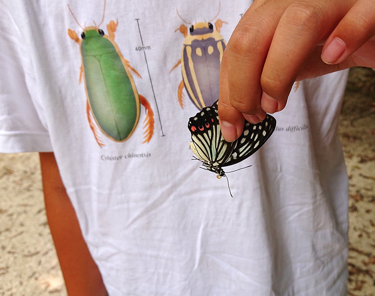 ゲンゴロウ Tシャツを作りました|Hinata ゲンゴロウ Tシャツを作りました|Hinata