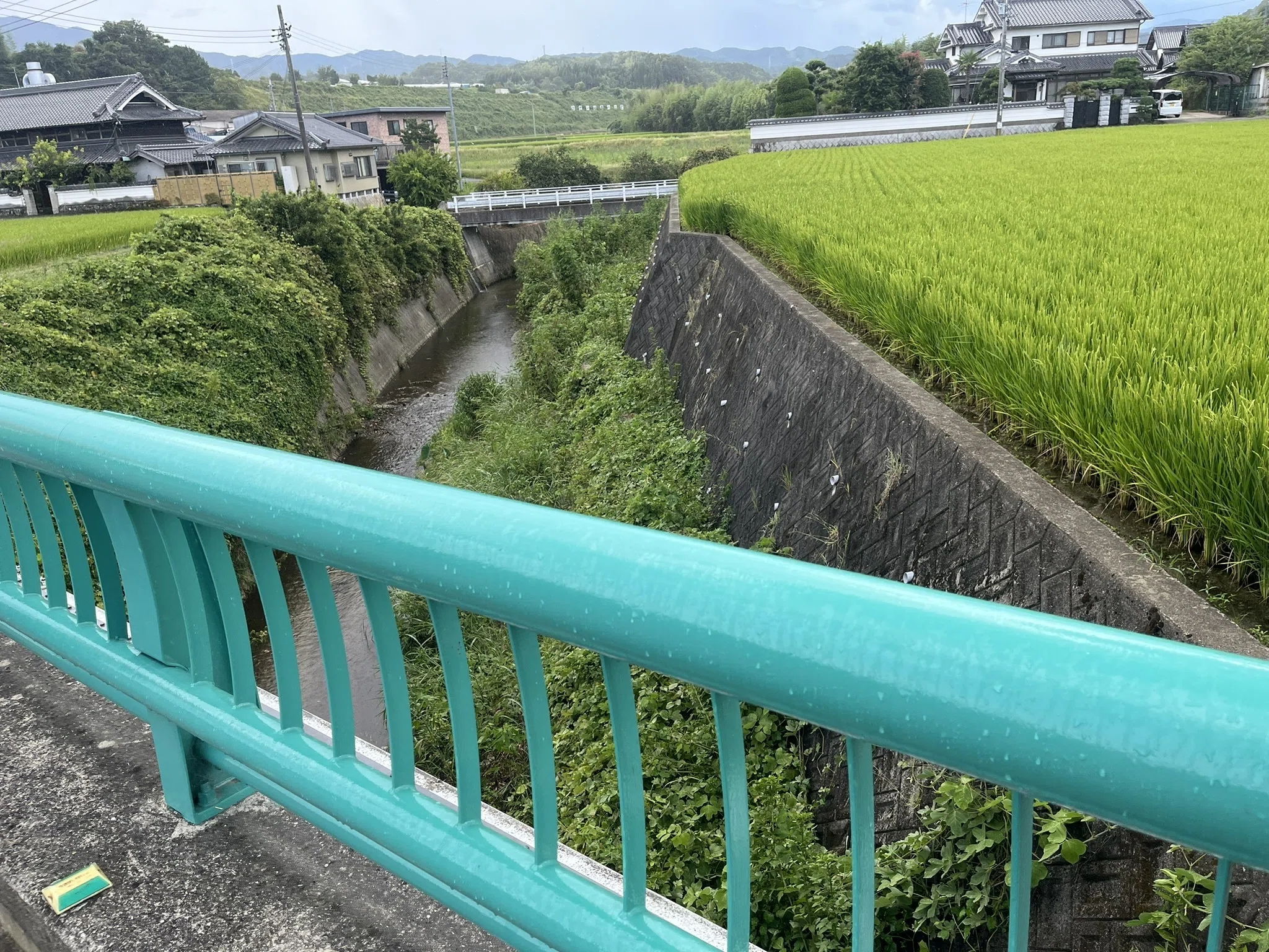高橋と 同じ名の橋 至るとこ 数えてみれば どのくらいある｜南河内