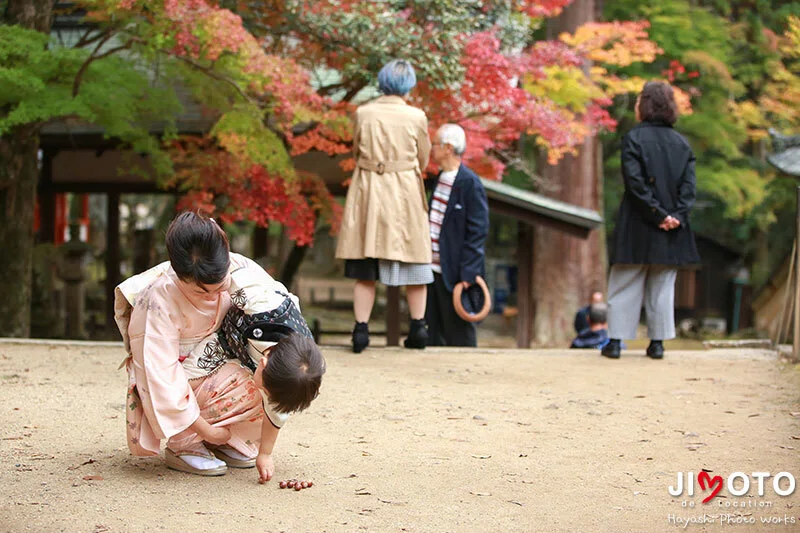 手向山八幡宮で七五三出張撮影