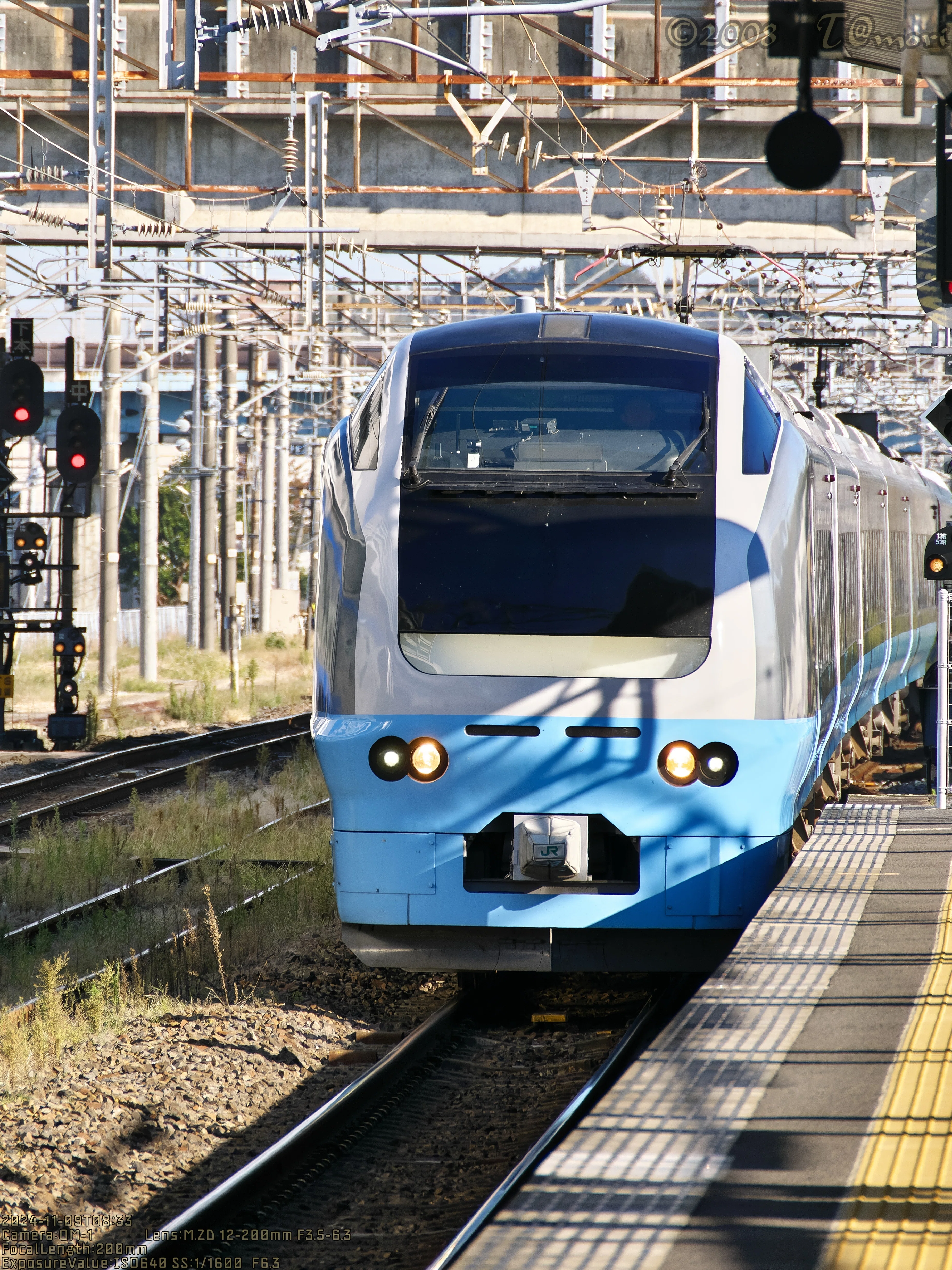 鎌倉お散歩へ E653系特急「常磐鎌倉号」で｜t@mori