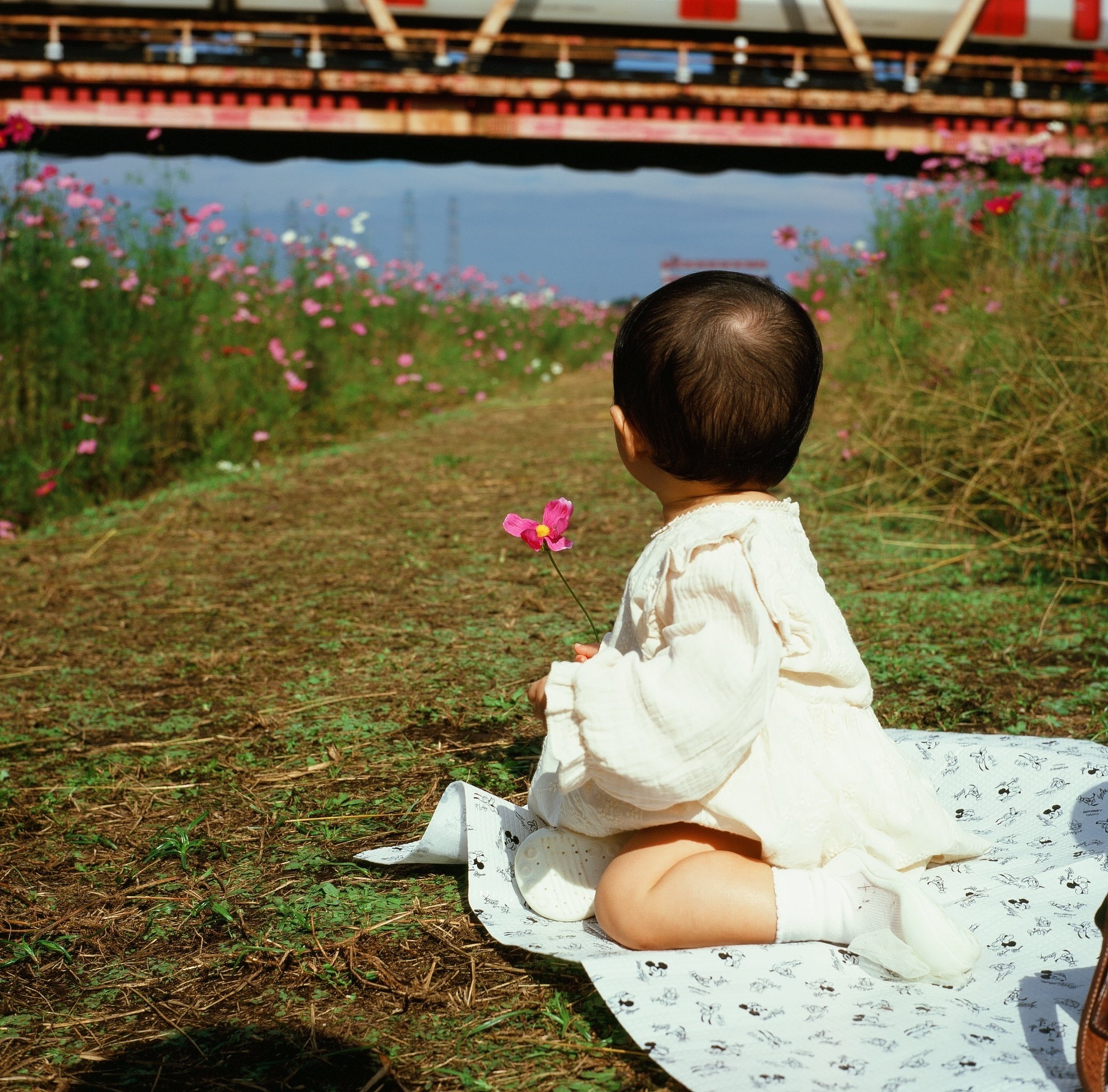 限定セールをすべて Velvia100】10年期限切れベルビア100は写るのか？｜RURI フィルムカメラ