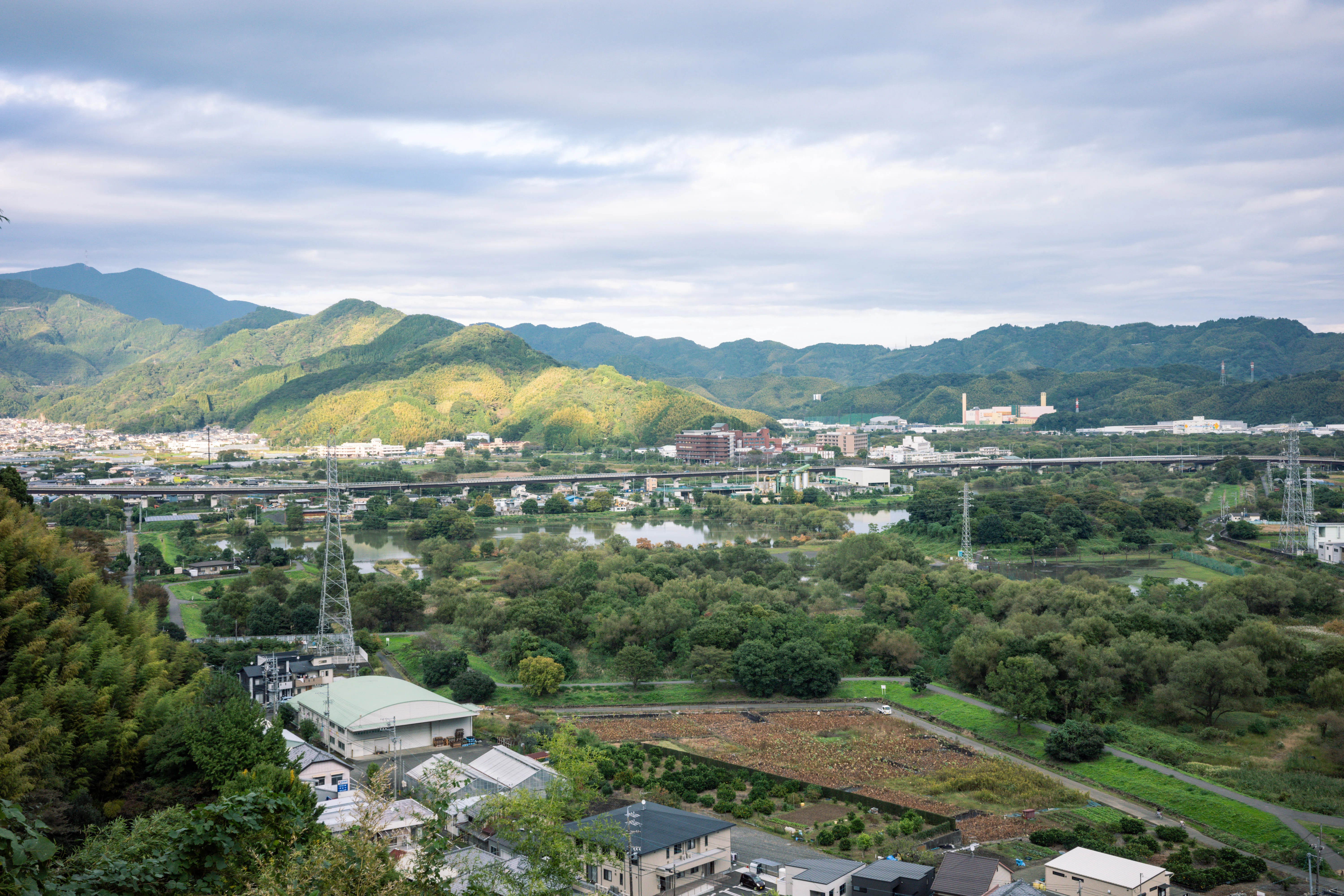 エモいの向こう側へ、行く。ーみかん栽培がつくる文化的景観ー｜阪口
