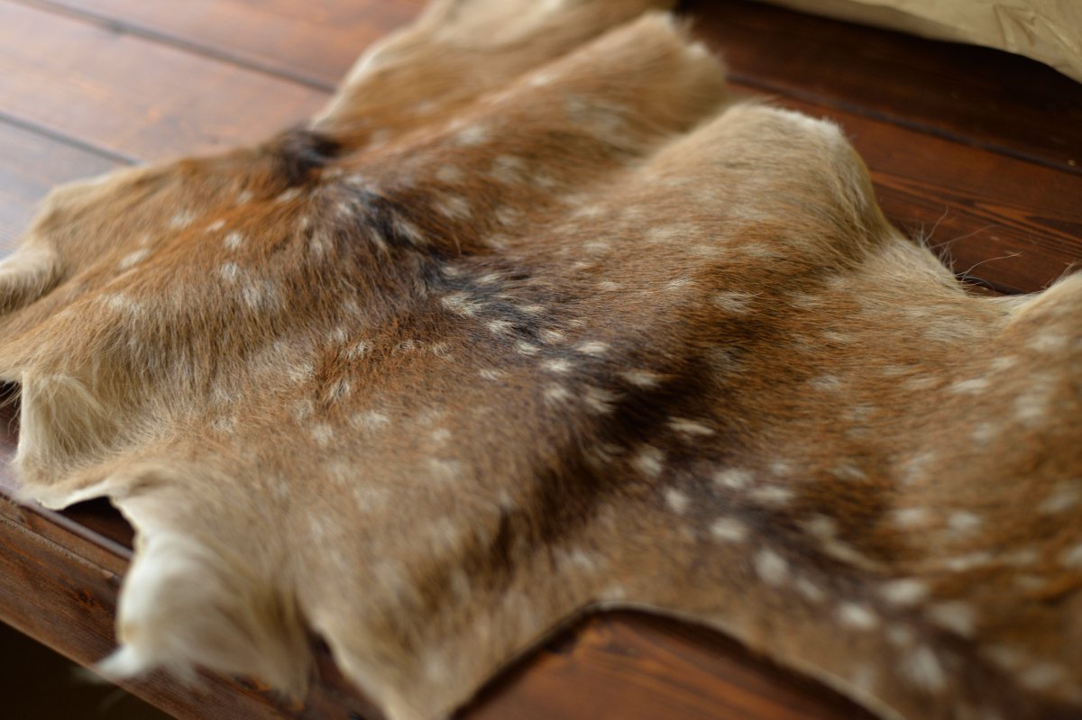 鹿の毛皮を纏った財布｜ReiLeather