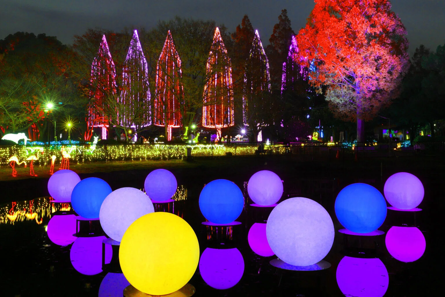 足立区のライトアップは竹の塚元淵江公園 11/30～｜yumiパンダ