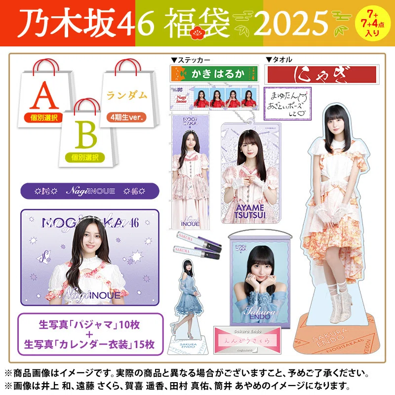 乃木坂46 2025年 福袋 ひかれ 個別ランダム BIGアクリルスタンド 