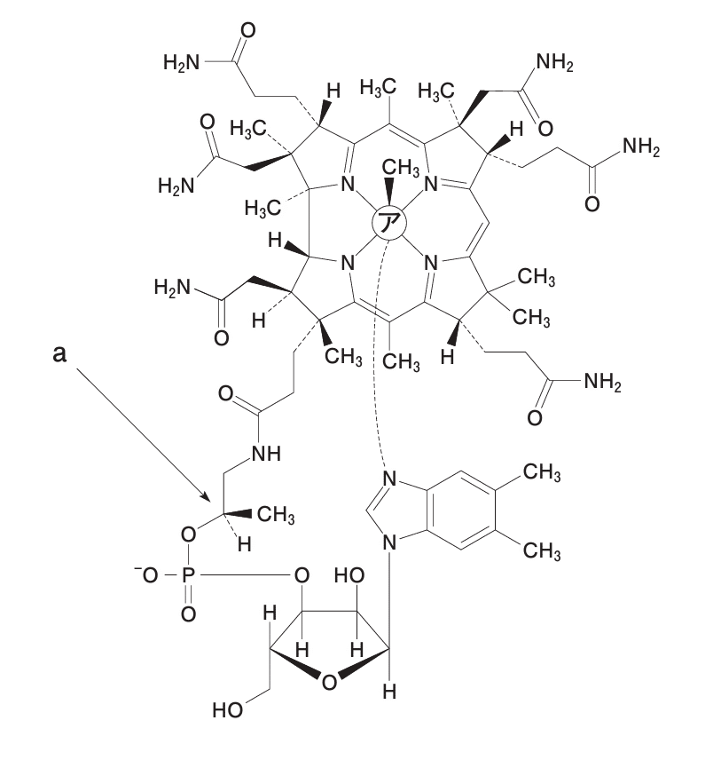 薬剤師国家試験対策ノート｜論点解説 薬学理論問題 化学(2) 第
