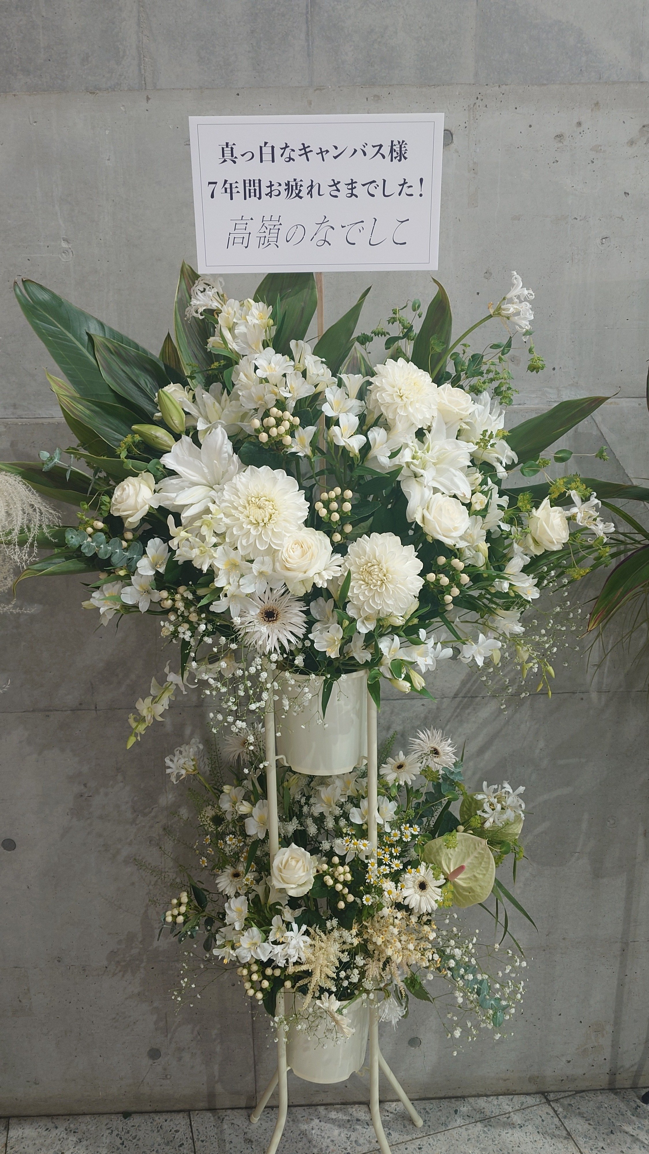 解散まで1週間のアイドルにハマった話〜真っ白なキャンバス〜｜kiviak53