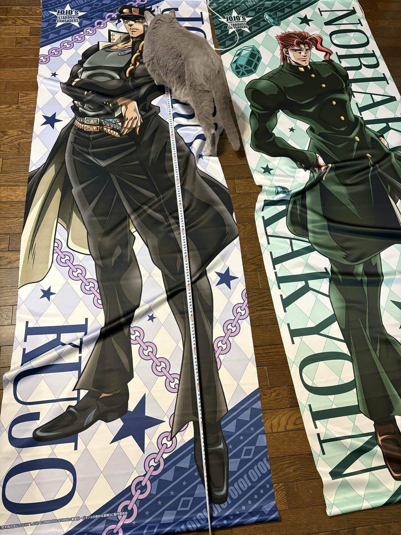 JOJO WORLD2 大型ブランケット 花京院典明 JOJO WORLD2 大型ブランケット 花京院典明 Amazon.co.jp