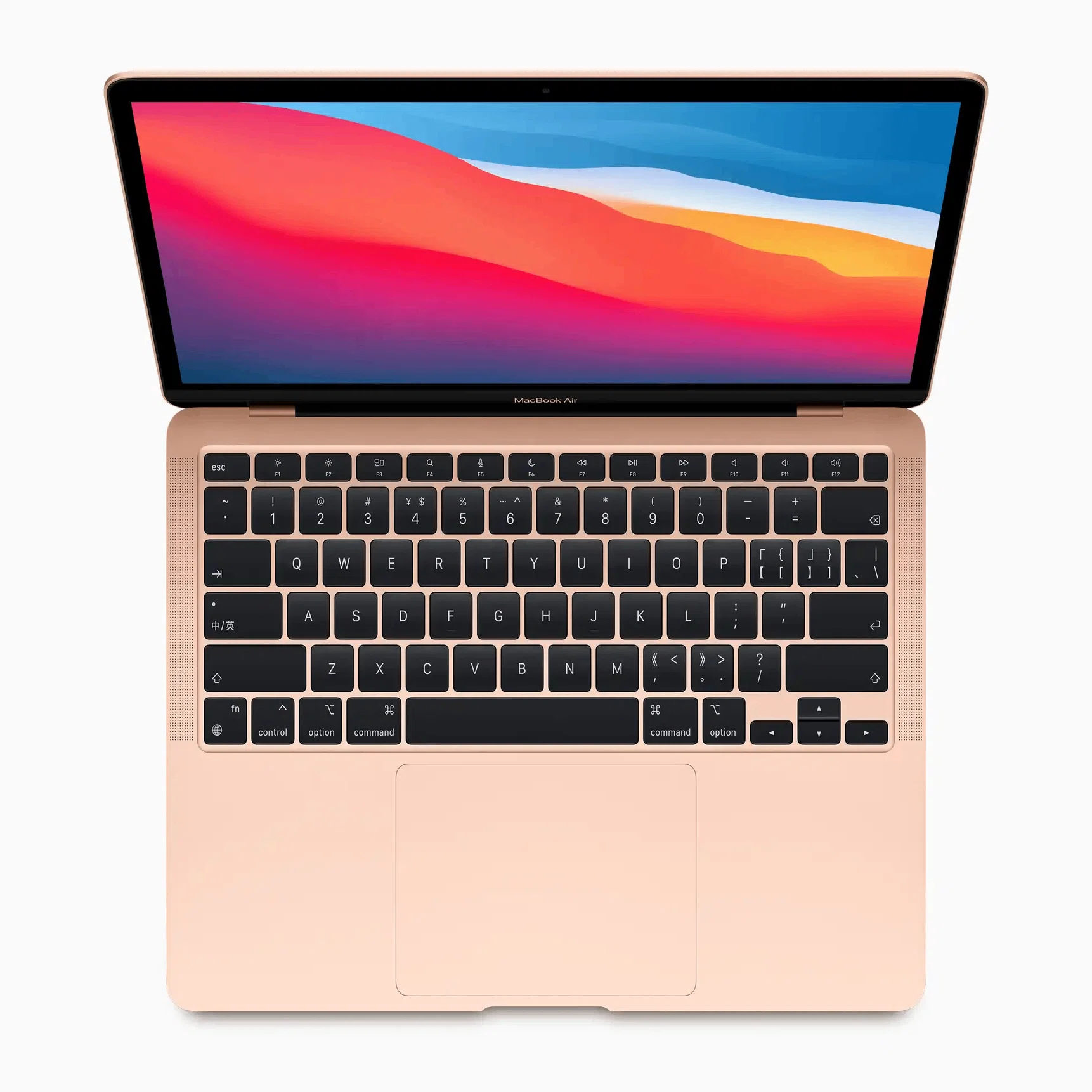 ももたろレビュー】ガジェット＃4『Apple Magic Trackpad』｜ももたろ