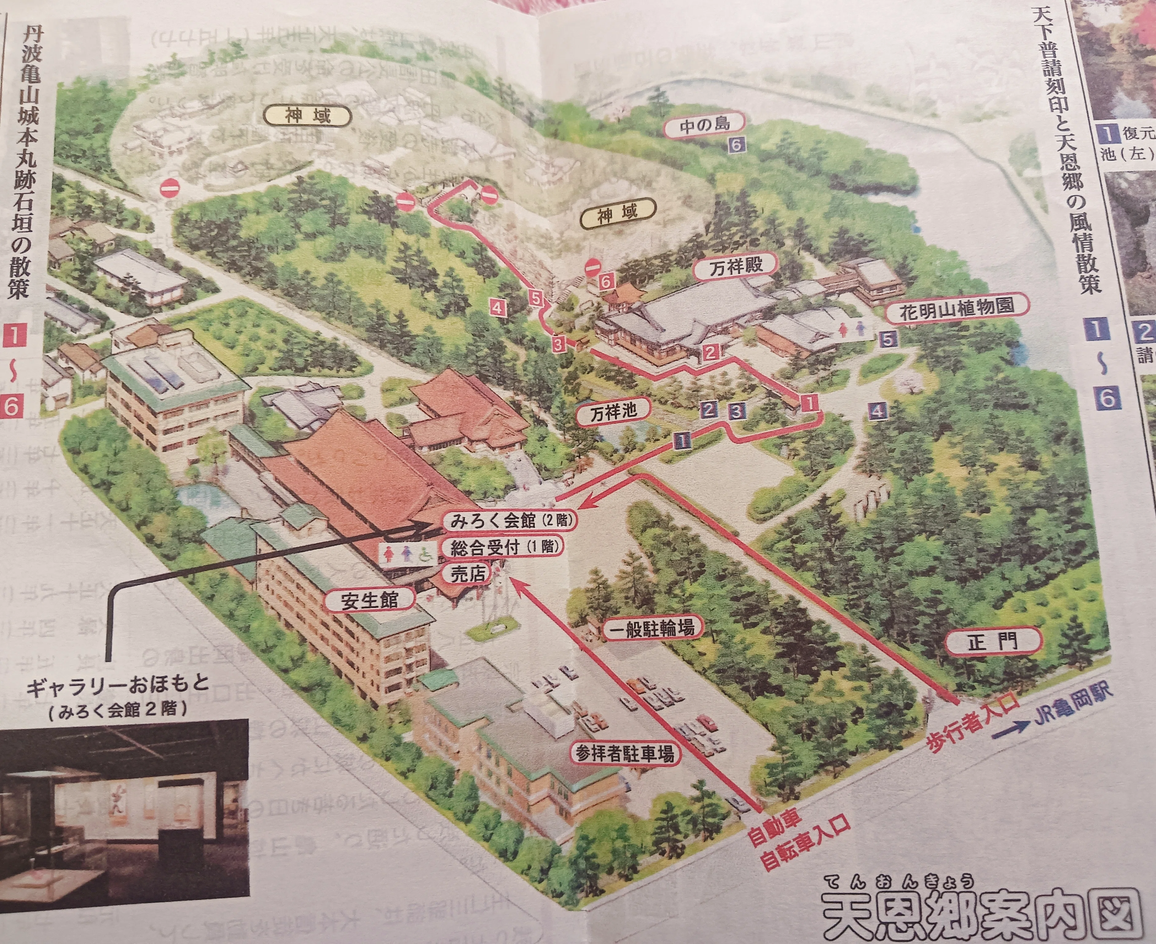 丹波亀山城址に行ってきた②/かめやき｜ゆり
