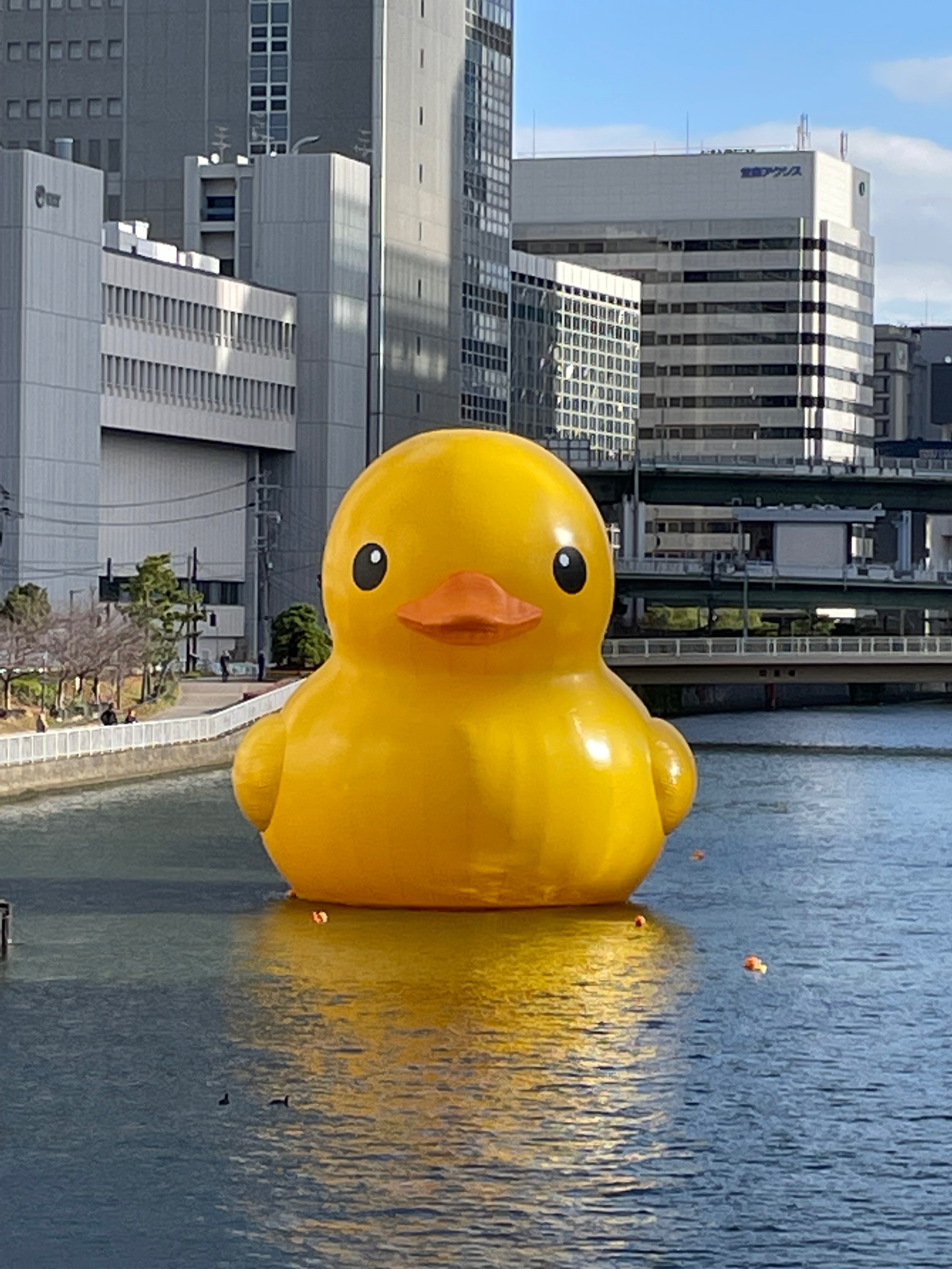 カワイイだけじゃダメですか？黄色い鳥を追いかけてたら、私の心は癒