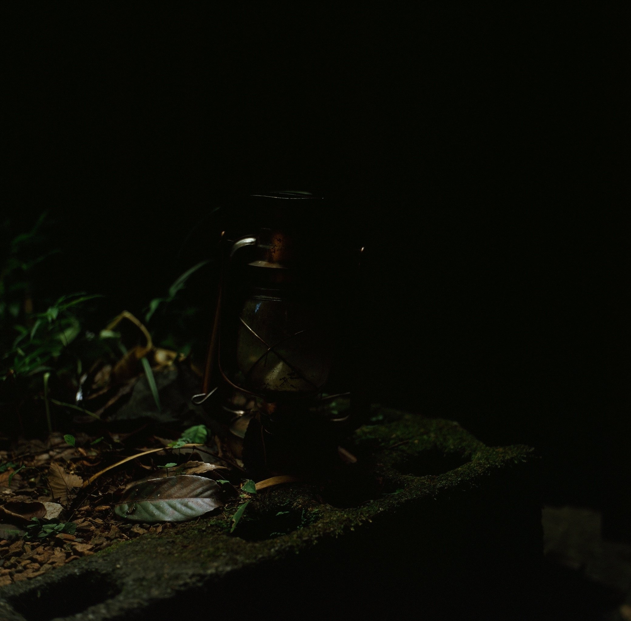 PROVIA100F】10年期限切れフィルムを使ってみる｜RURI