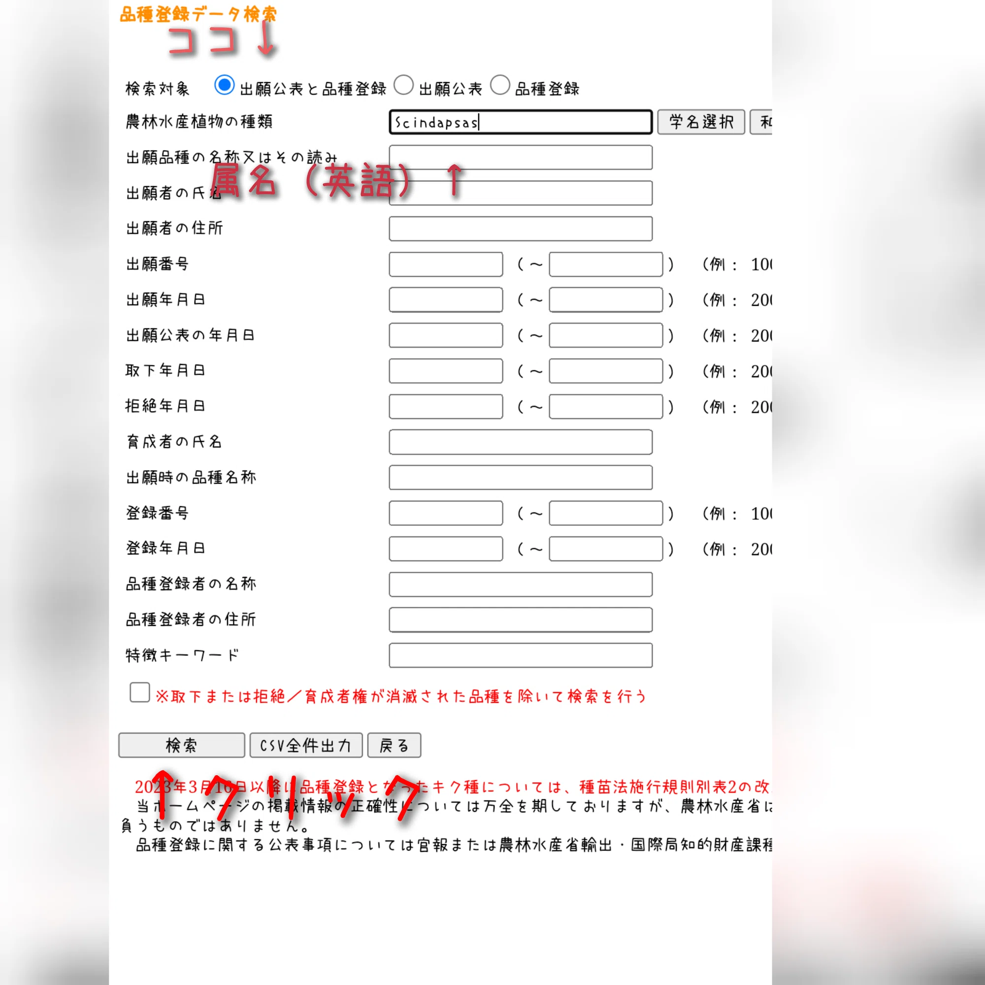 お迎え前に調べてほしい】絶対に悲しくならないフリマサイトの使い方