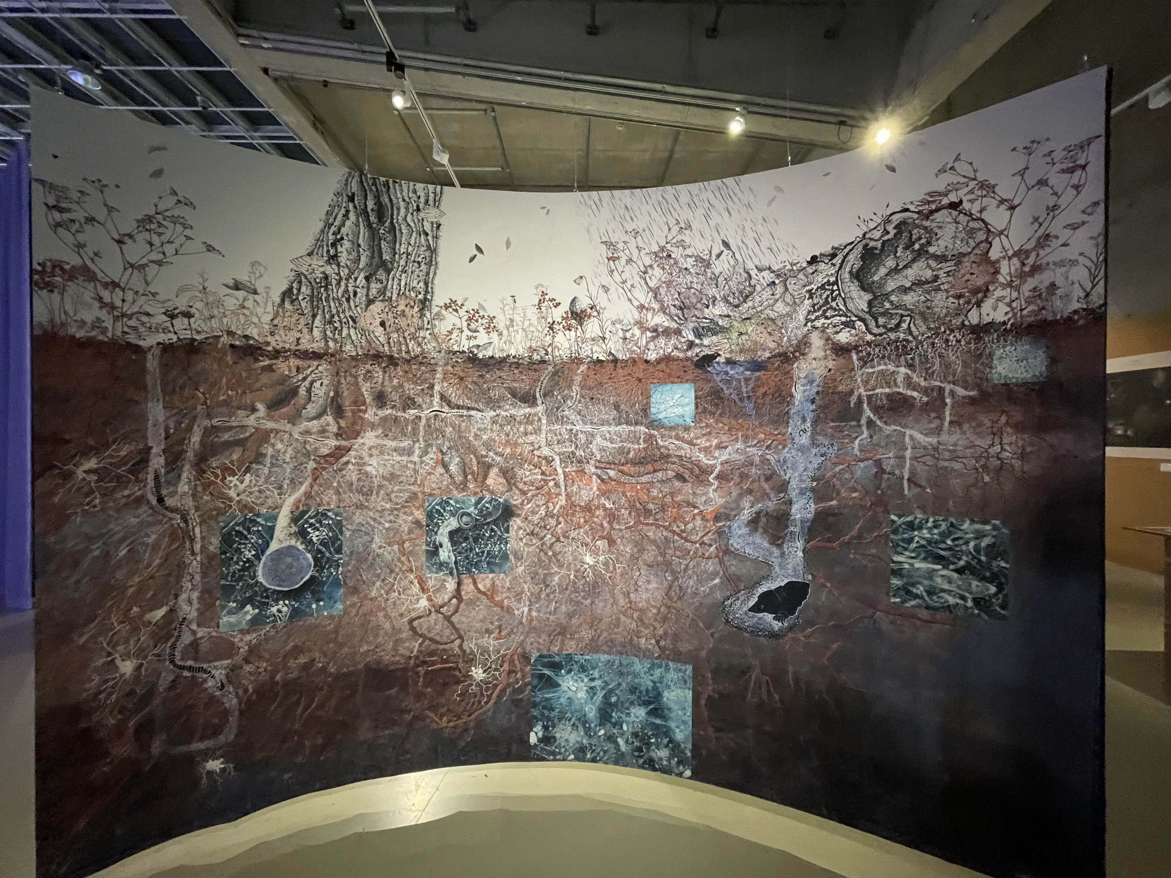 ロッテルダム国際建築ビエンナーレ（International Architecture