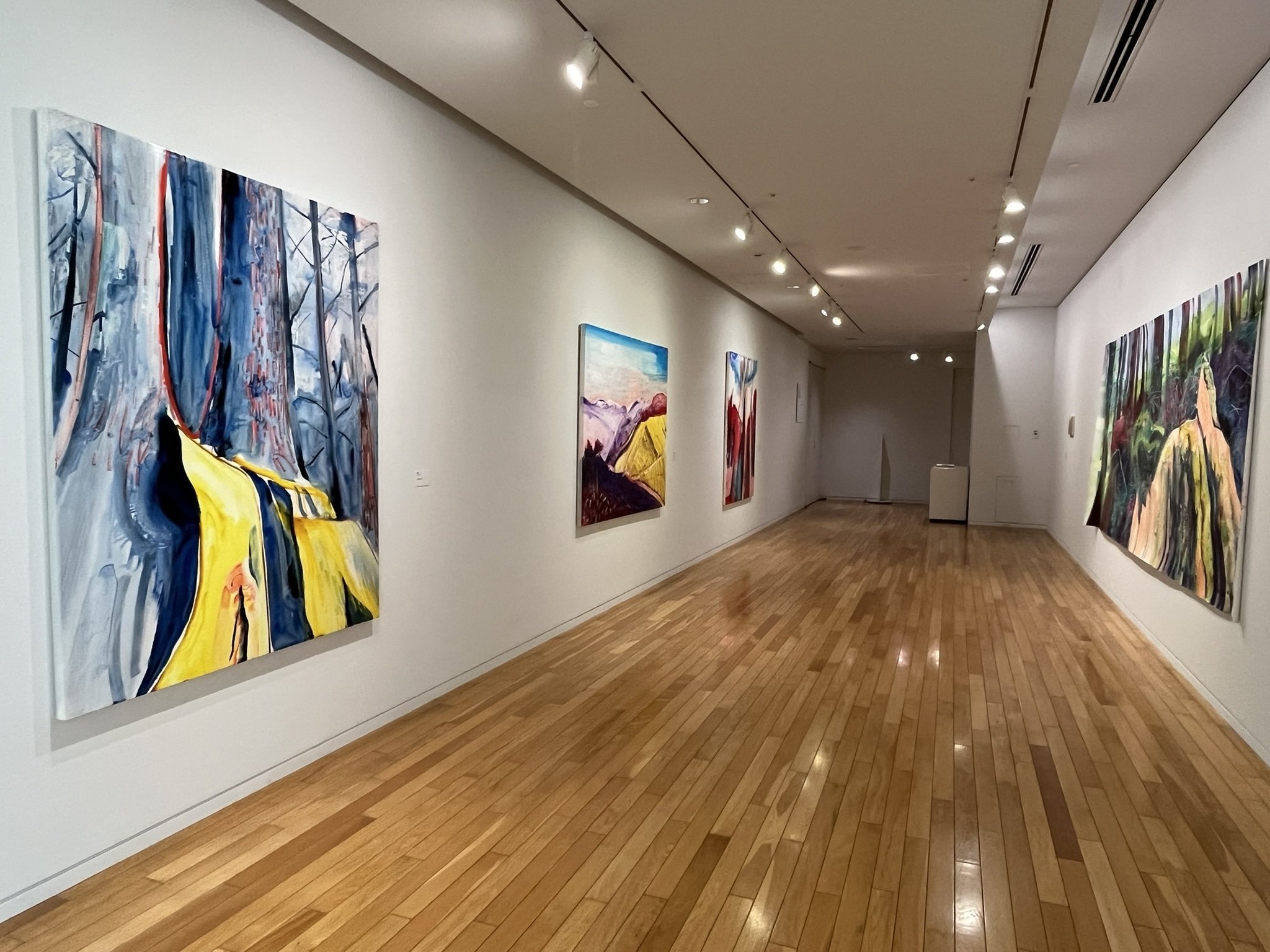 展覧会 #27 project N 96 ナカバヤシアリサ@東京オペラシティアート