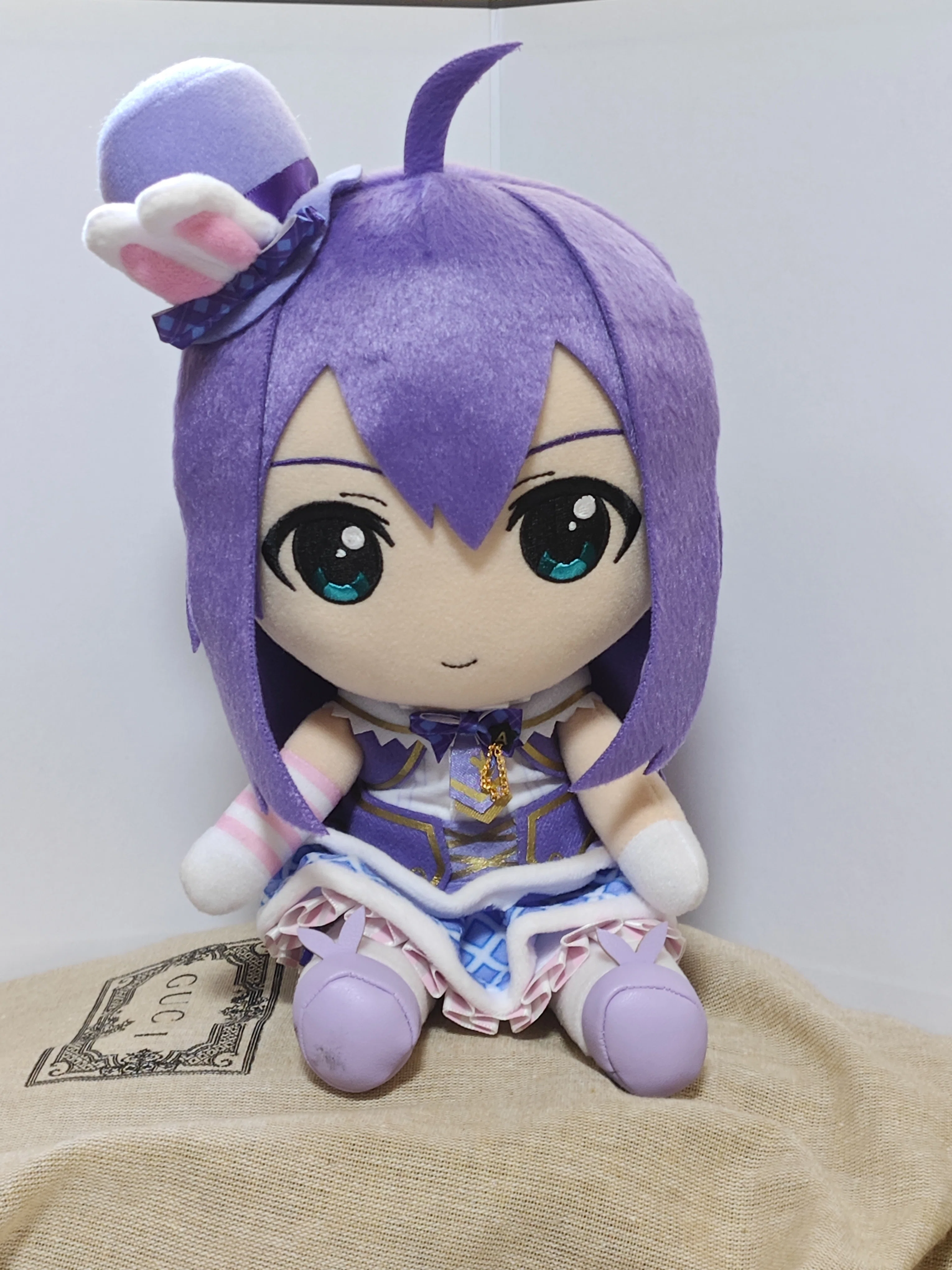 ぬいぐるみらいふ〜ぬい撮りという推し活のカタチ〜｜せんナさん