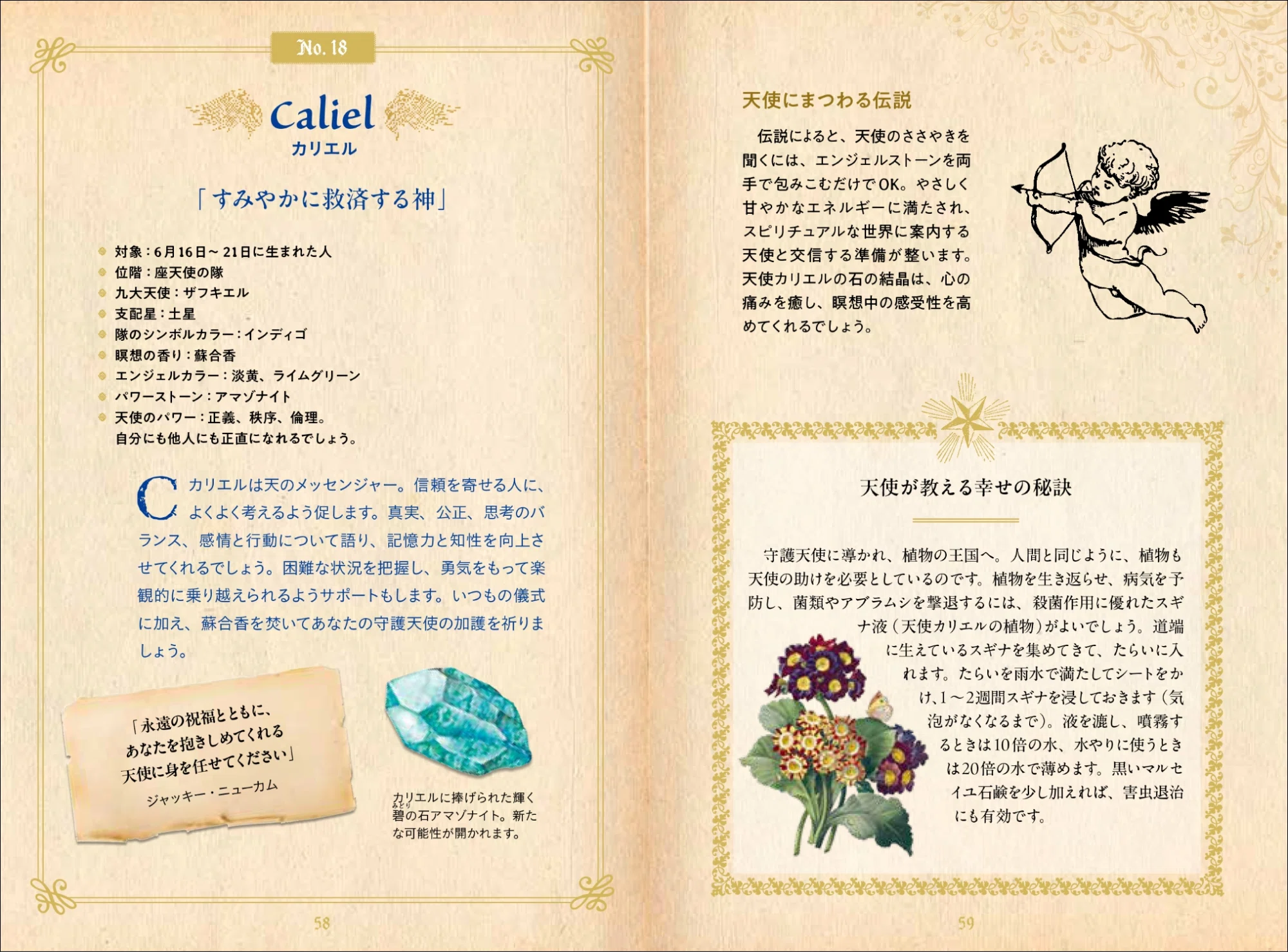 大好評“ひみつの本棚シリーズ”第7弾】守護天使から授かった自分の性格