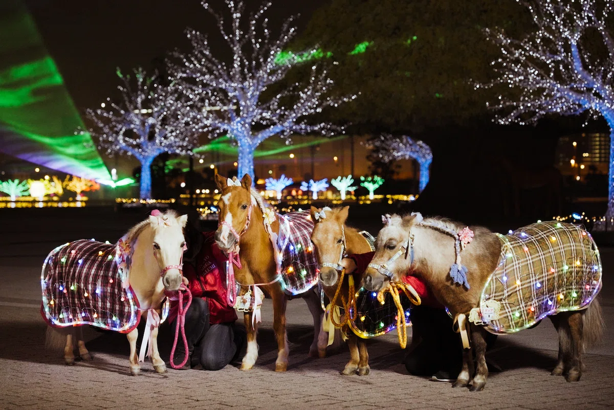 大井競馬場 東京メガイルミ