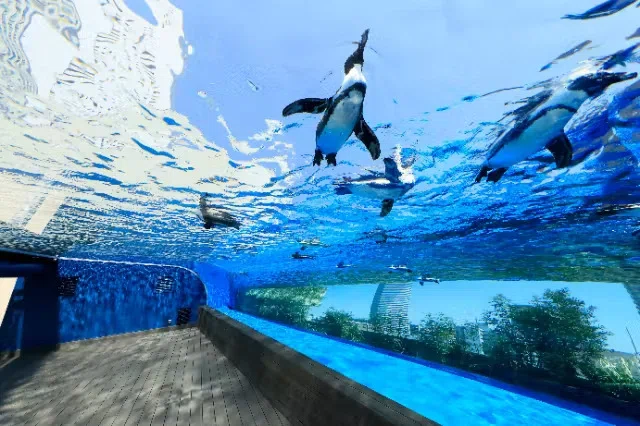 サンシャイン水族館のペンギン