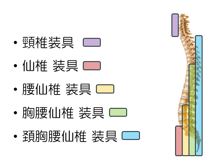 理学療法士 国家試験対策 腰仙椎装具｜じょんがらPT