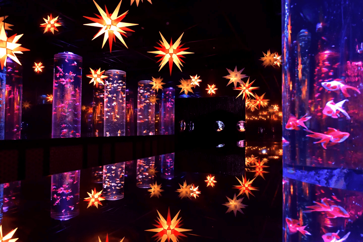 アートアクアリウム美術館 GINZA