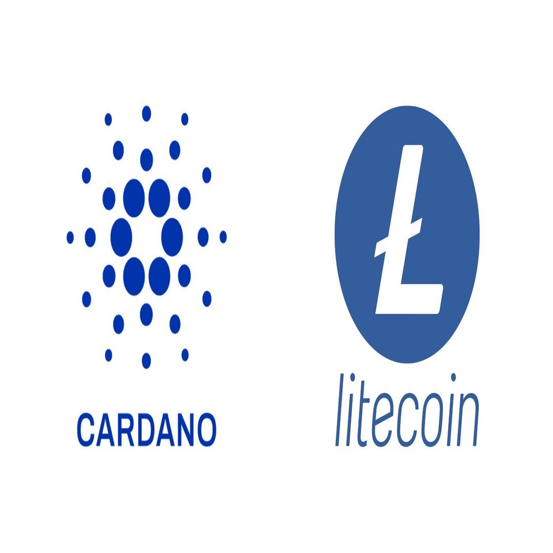 初めてのトケノミクス｜Project LUCK@暗号資産の会社