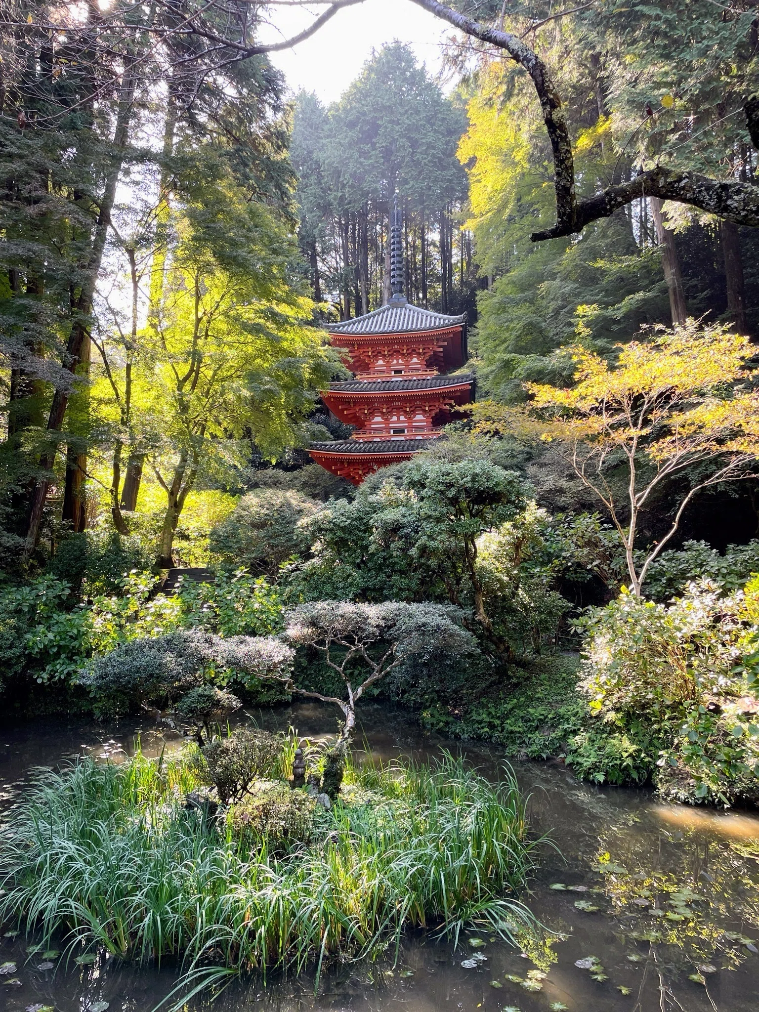 木津川の古寺巡礼：1 岩船寺｜美術館とお寺と猫