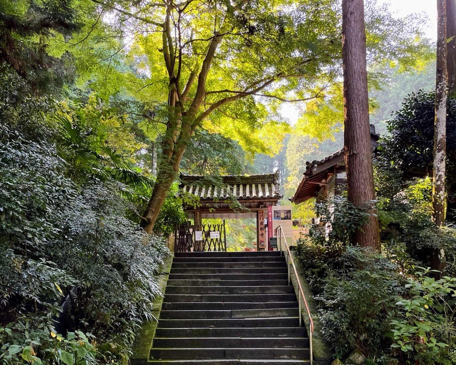 木津川の古寺巡礼：1 岩船寺｜美術館とお寺と猫