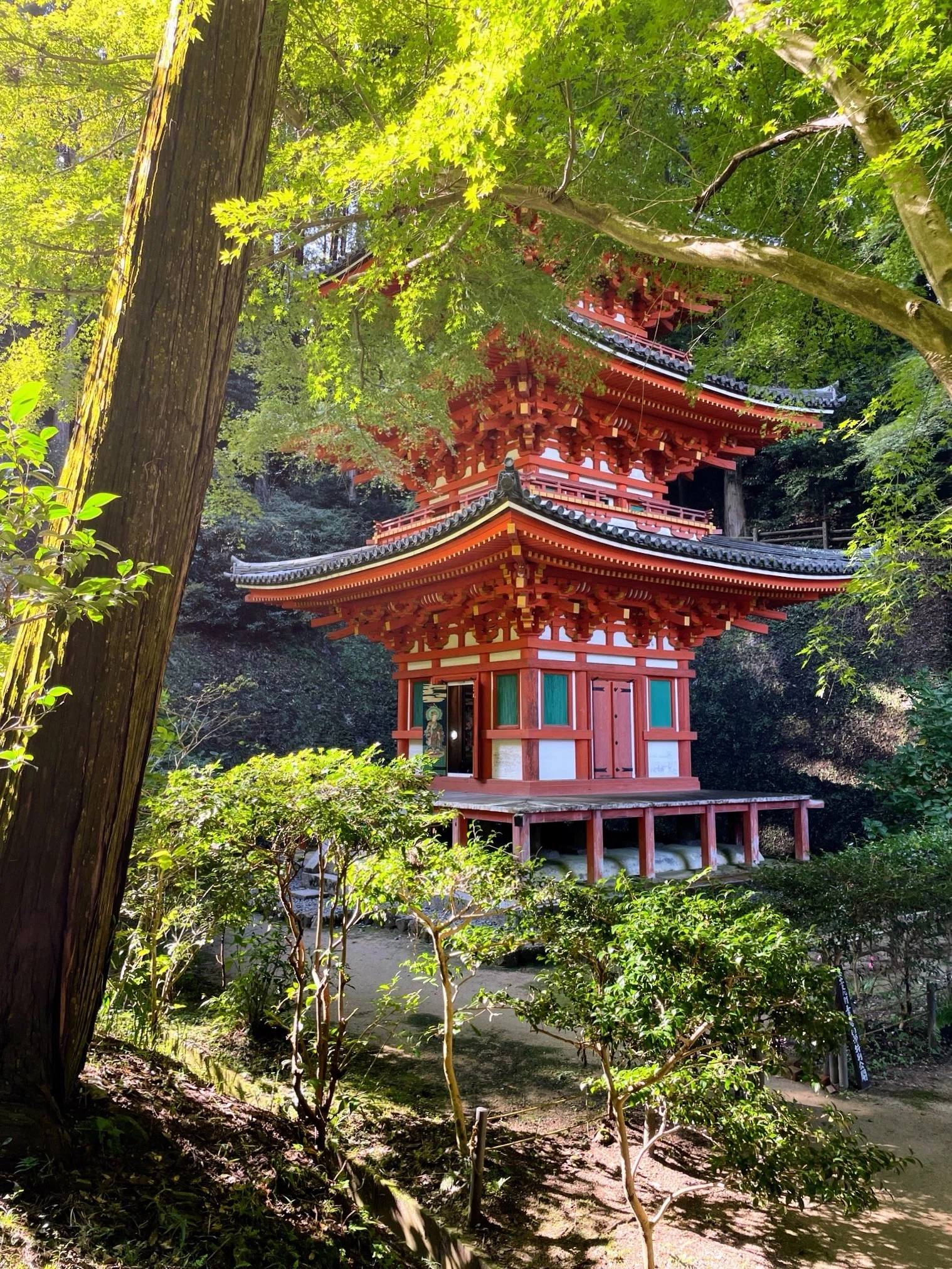 木津川の古寺巡礼：1 岩船寺｜美術館とお寺と猫