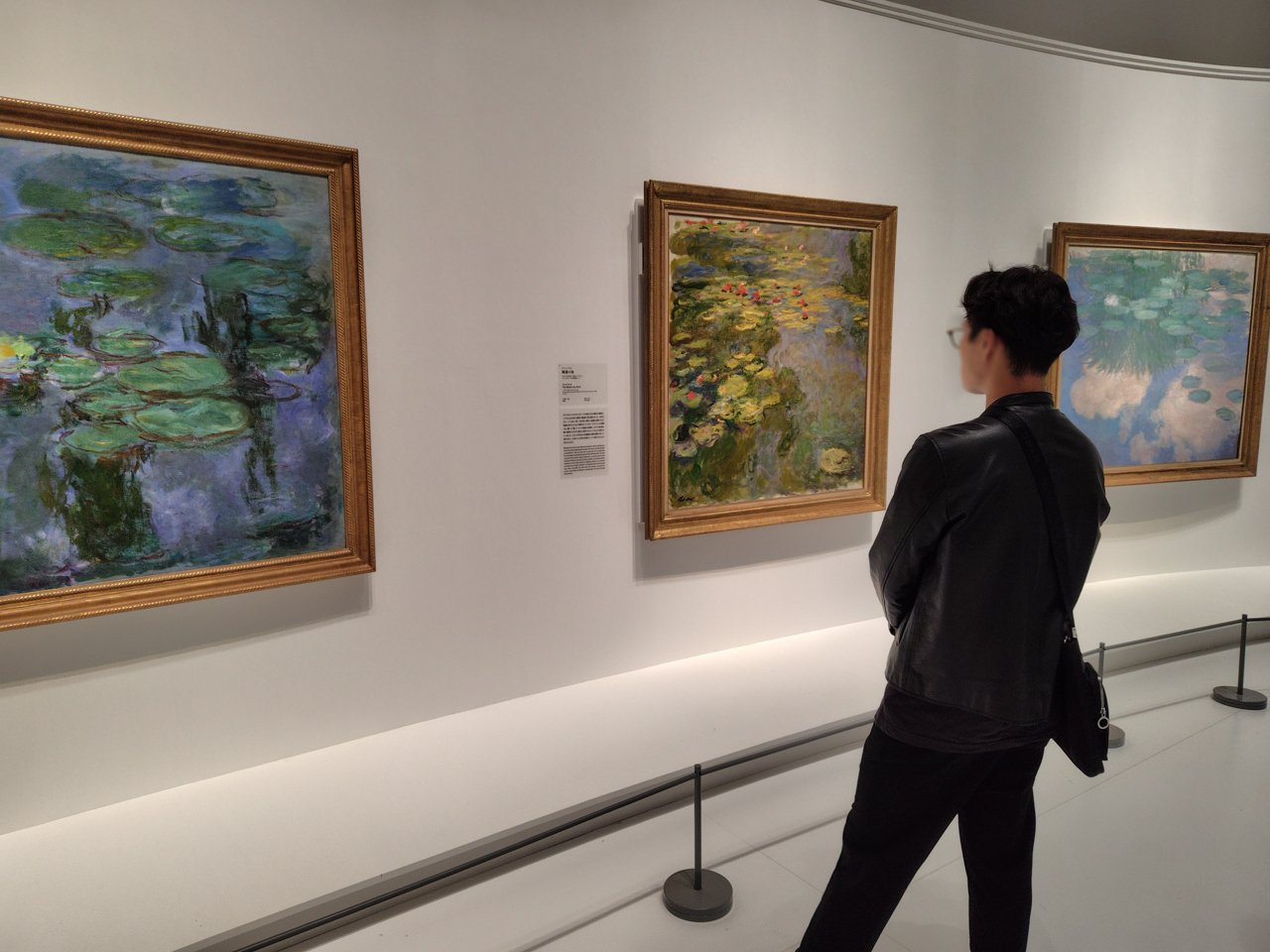 国立西洋美術館の「モネ 睡蓮のとき」｜Hiro Oaks / 日々の雑感