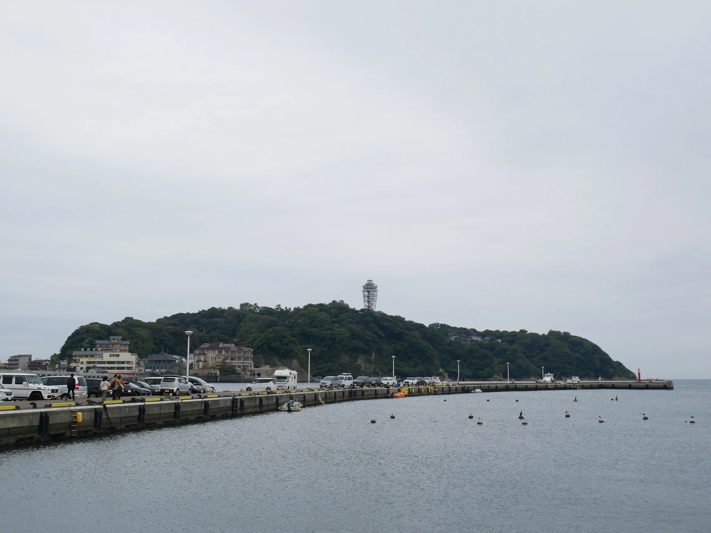506 曇天江の島写真勉強会。｜揺蕩う旅人・なお（ミヤコカエデ）