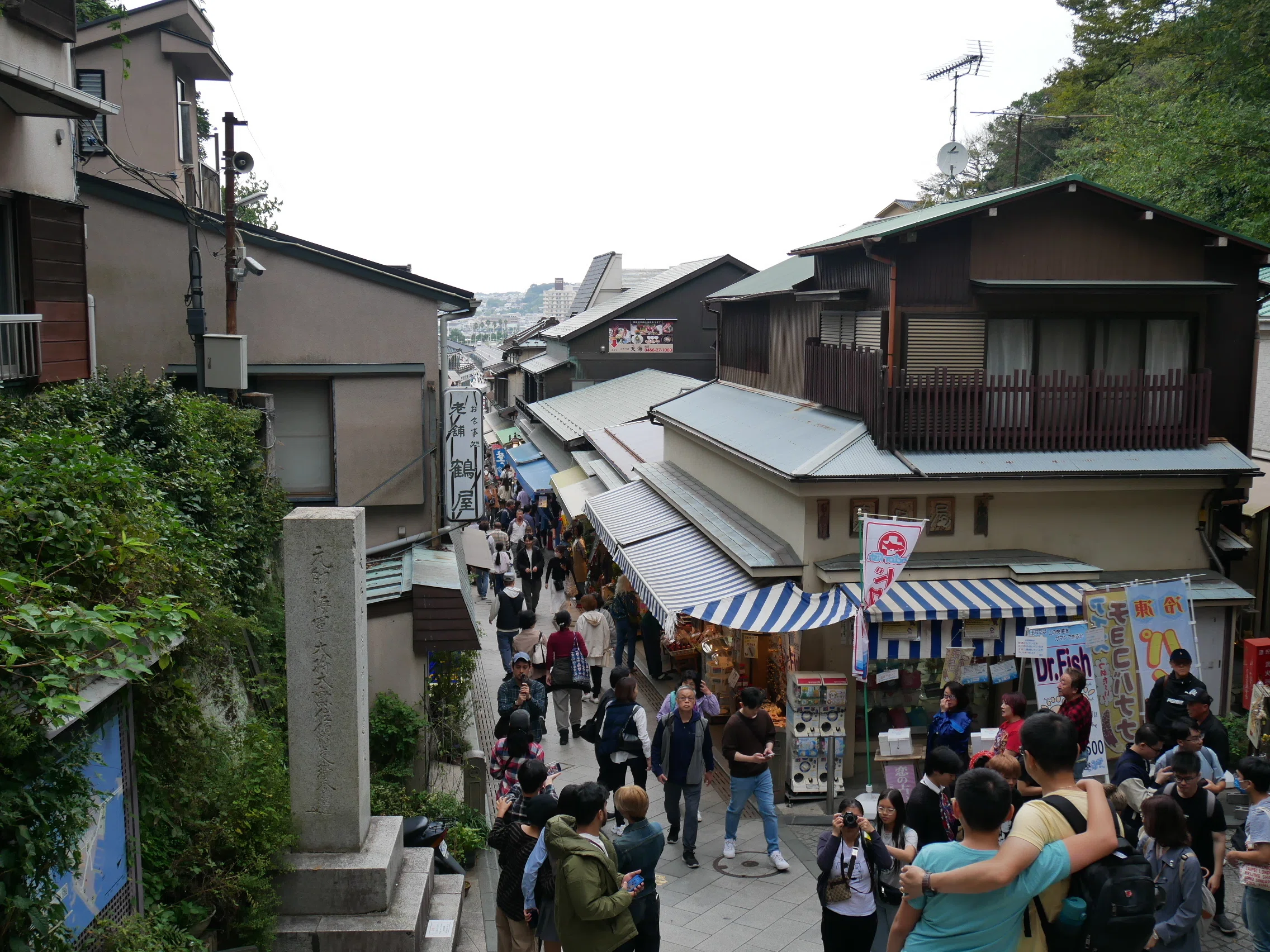 506 曇天江の島写真勉強会。｜揺蕩う旅人・なお（ミヤコカエデ）