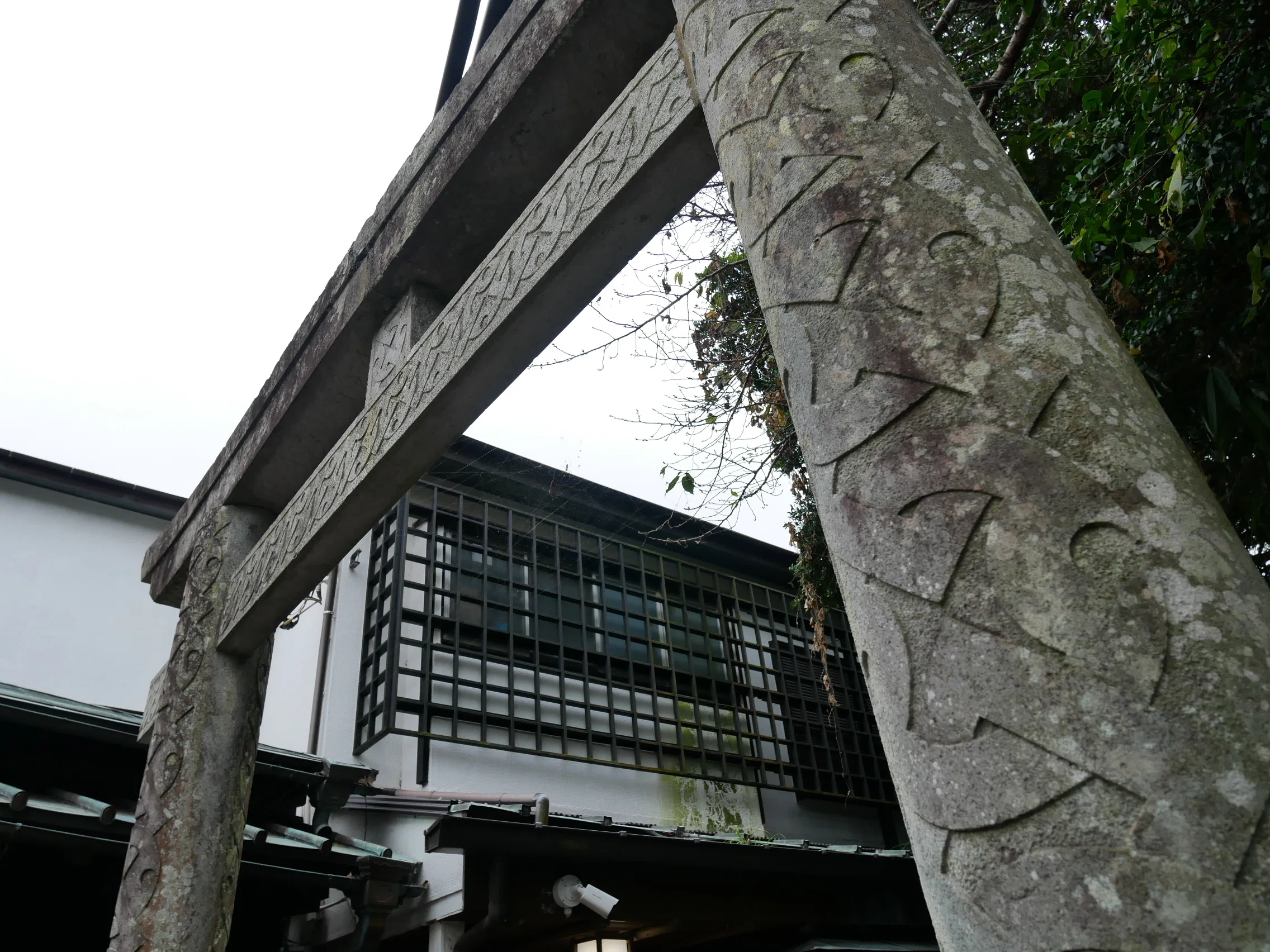 506 曇天江の島写真勉強会。｜揺蕩う旅人・なお（ミヤコカエデ）