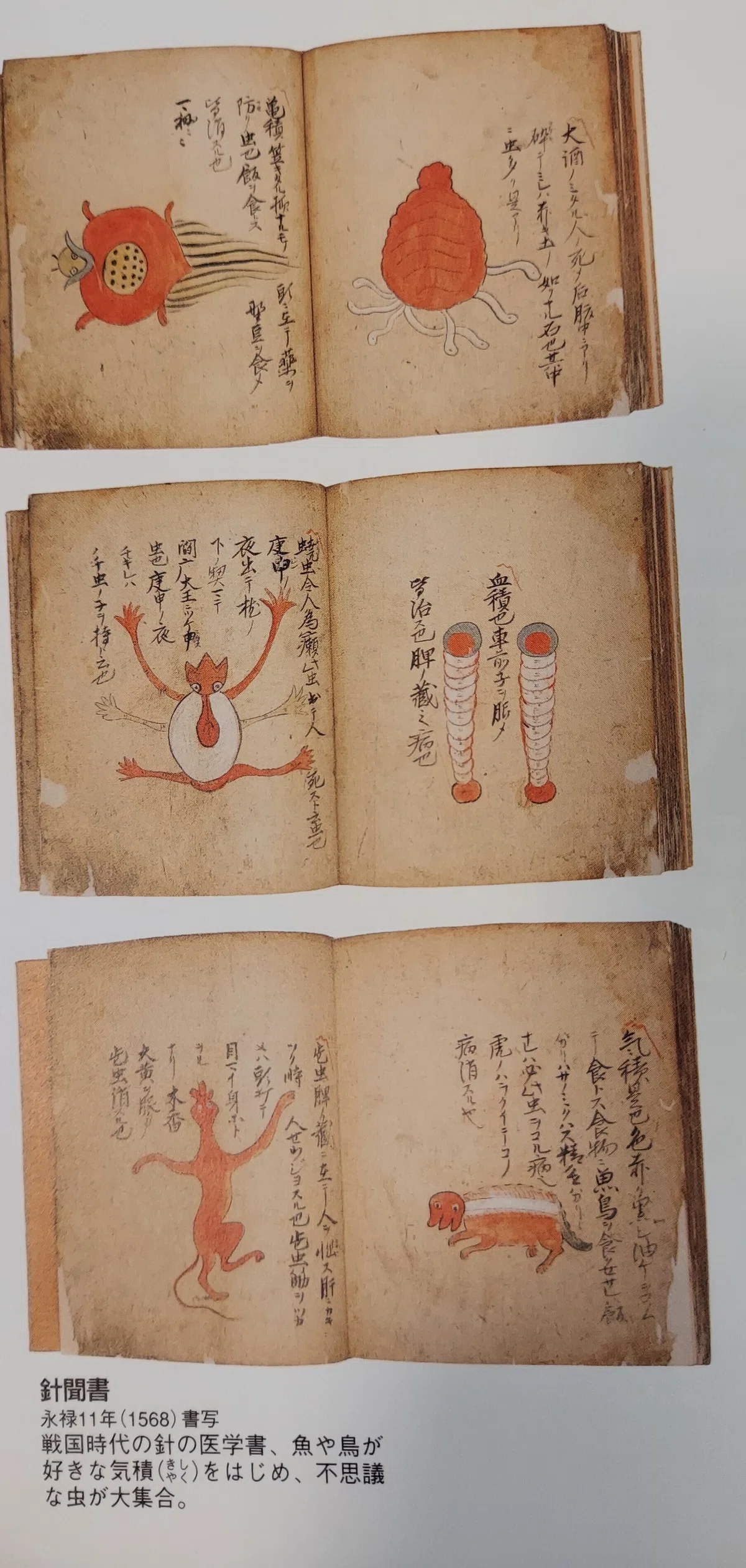 読書日記R6】11／13 晩秋。すだく虫の声、あれは何の虫？「病葉 