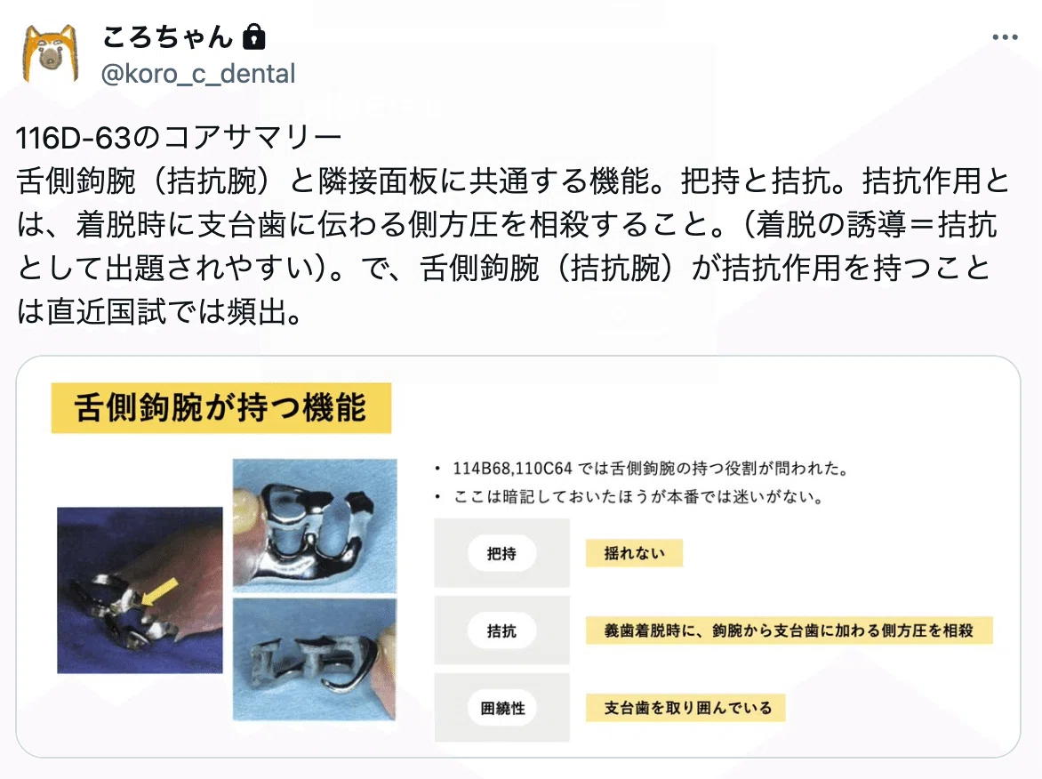 補綴 床の拮抗作用とは何か 舌側鉤腕 拮抗腕 と隣接面板に共通する機能 ころちゃん先生