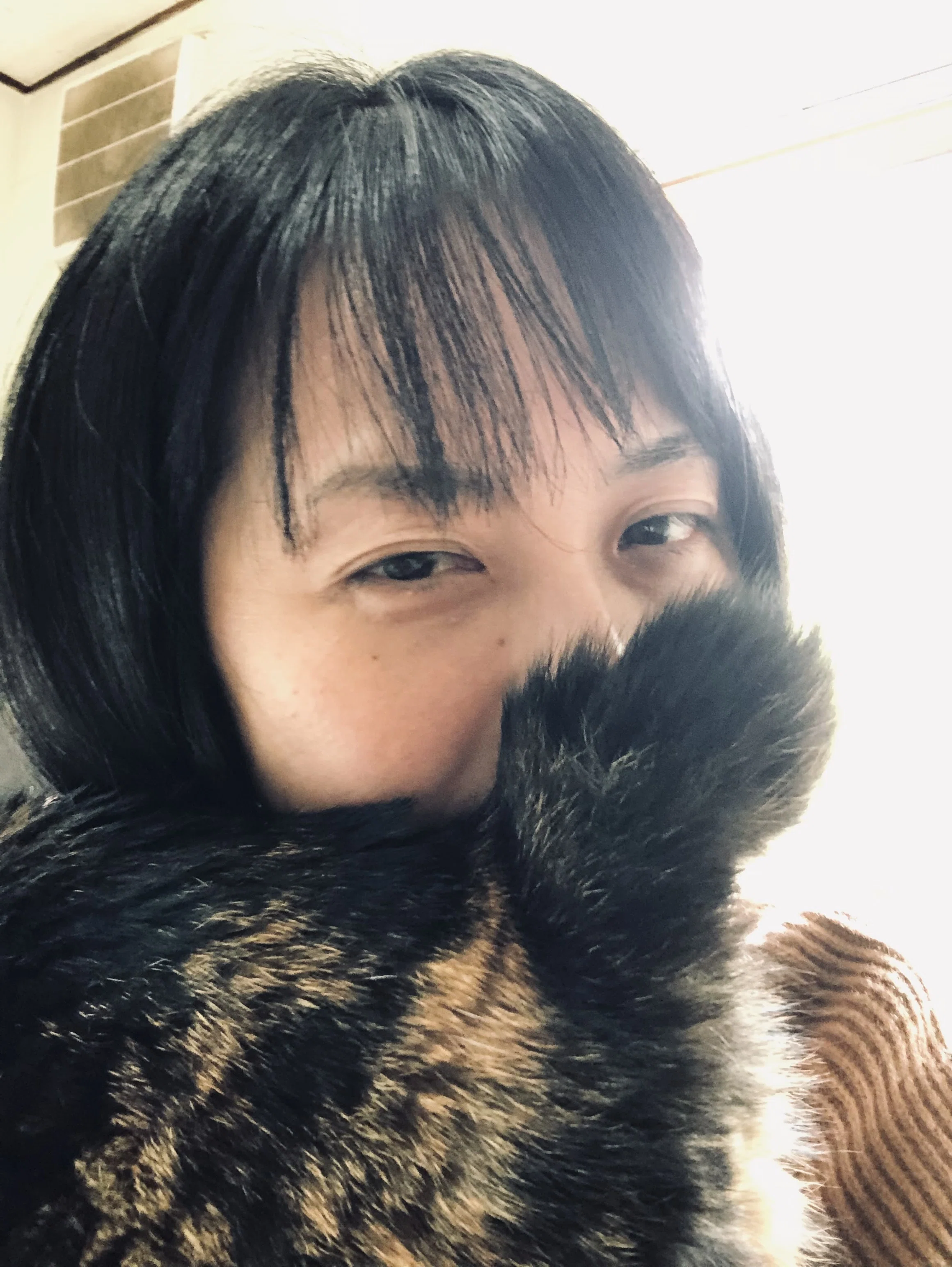 猫を溺愛する私のオススメ「にゃんチューブ」7選｜植田早紀（うえださき）