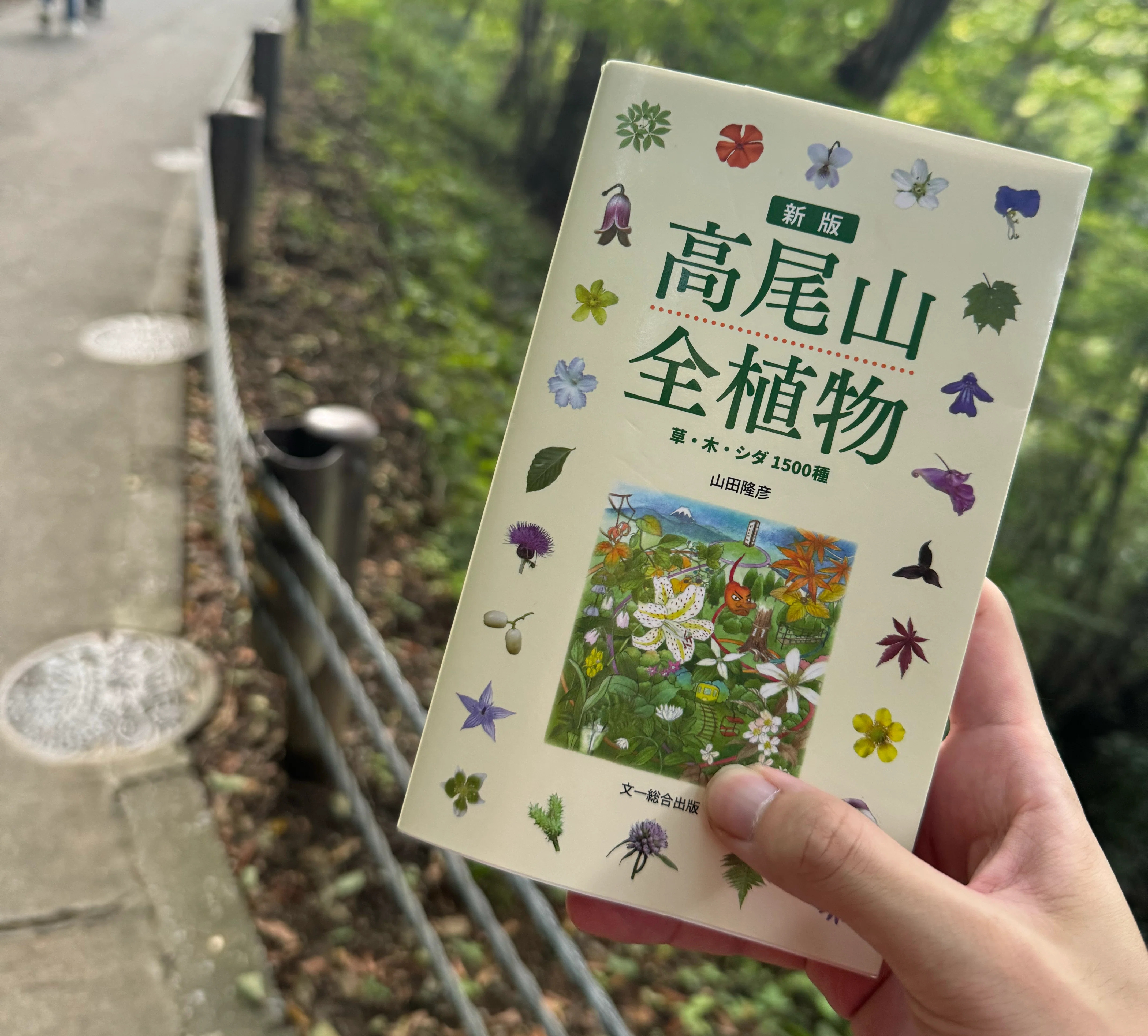 植物初心者が『新版 高尾山全植物』を持って高尾山1号路を登ってみた