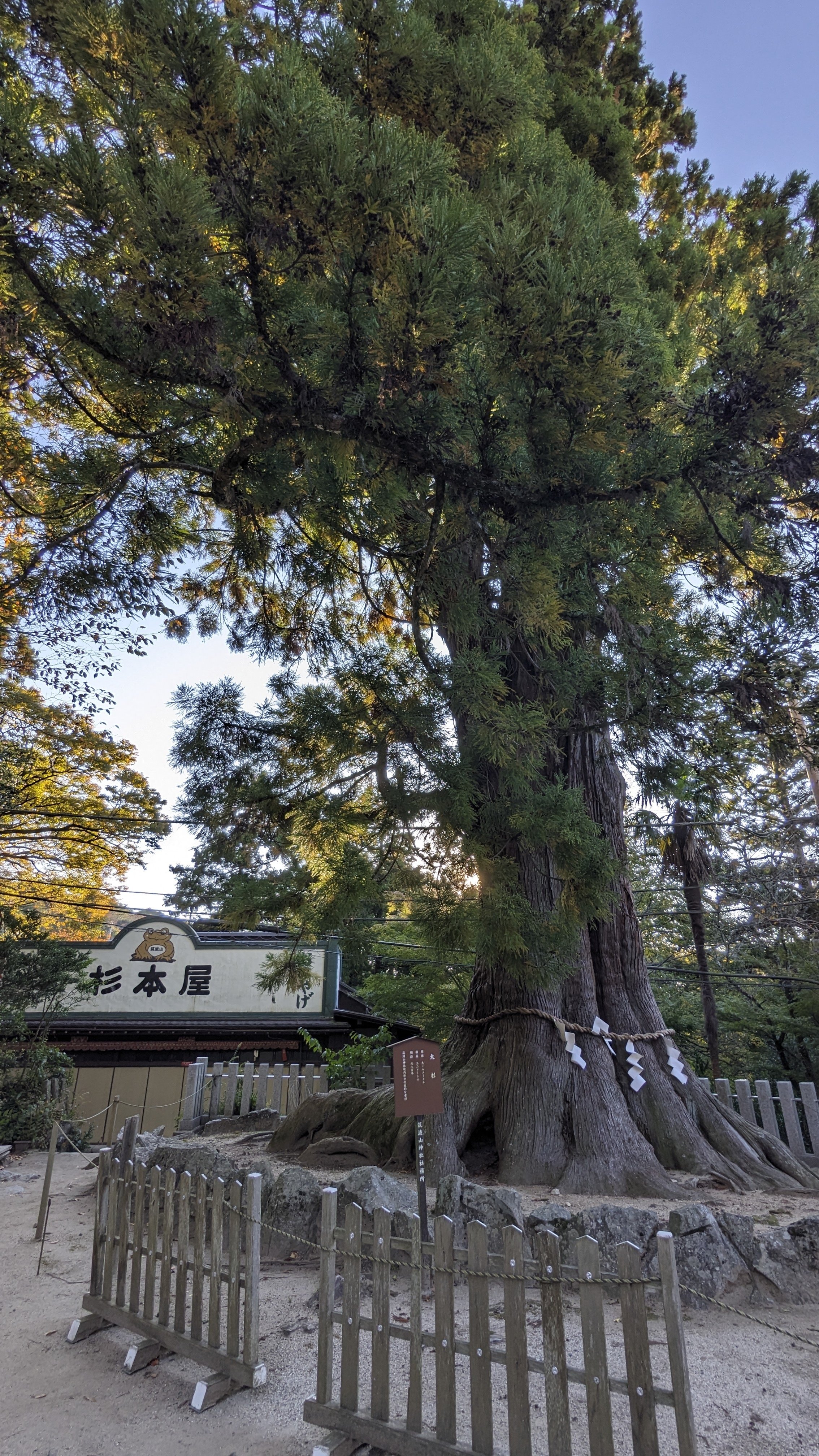 茨城百景 筑波山｜zxqh7