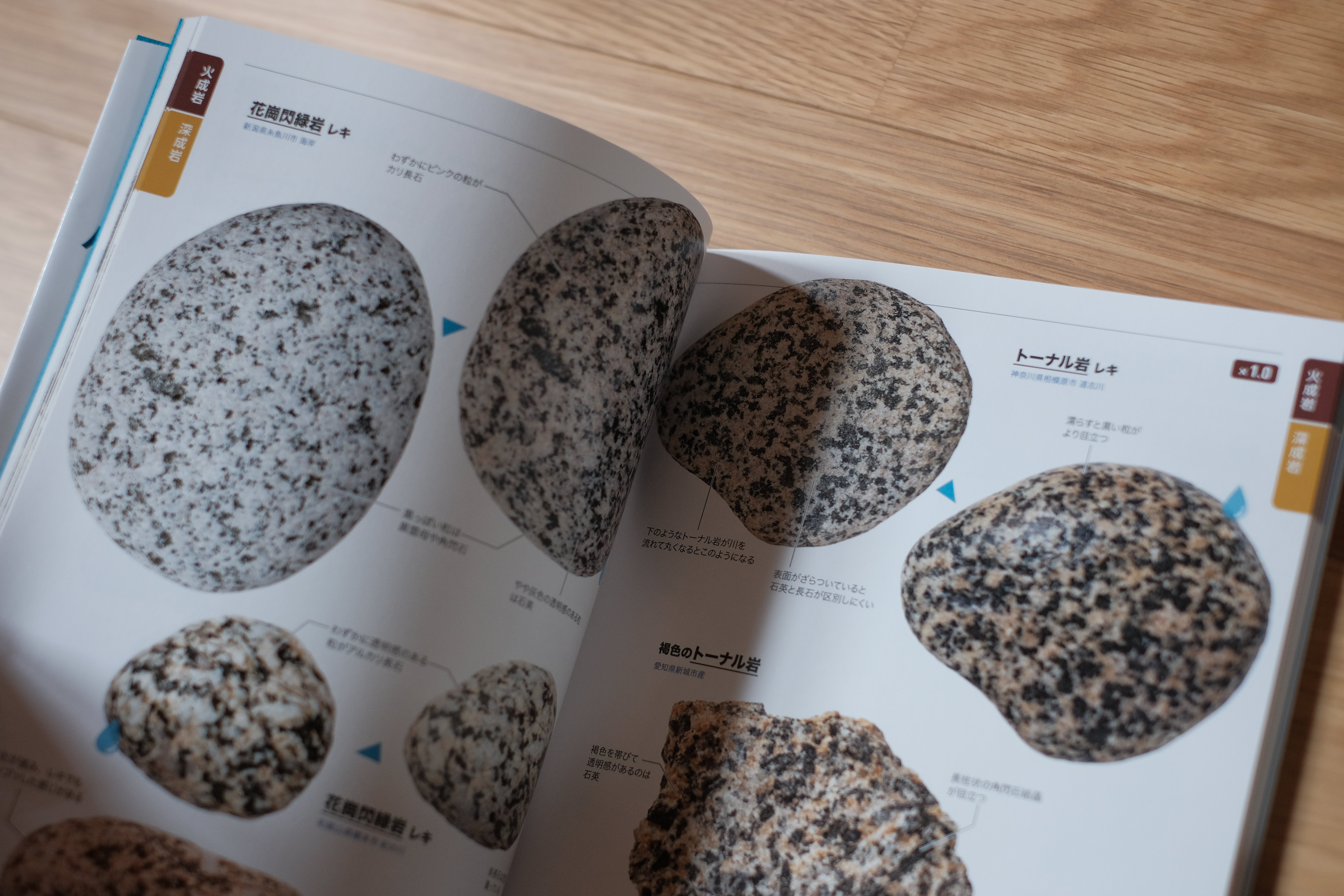 担当編集者が語る】ヤマケイの「いい石の本」の話。｜ヤマケイの本
