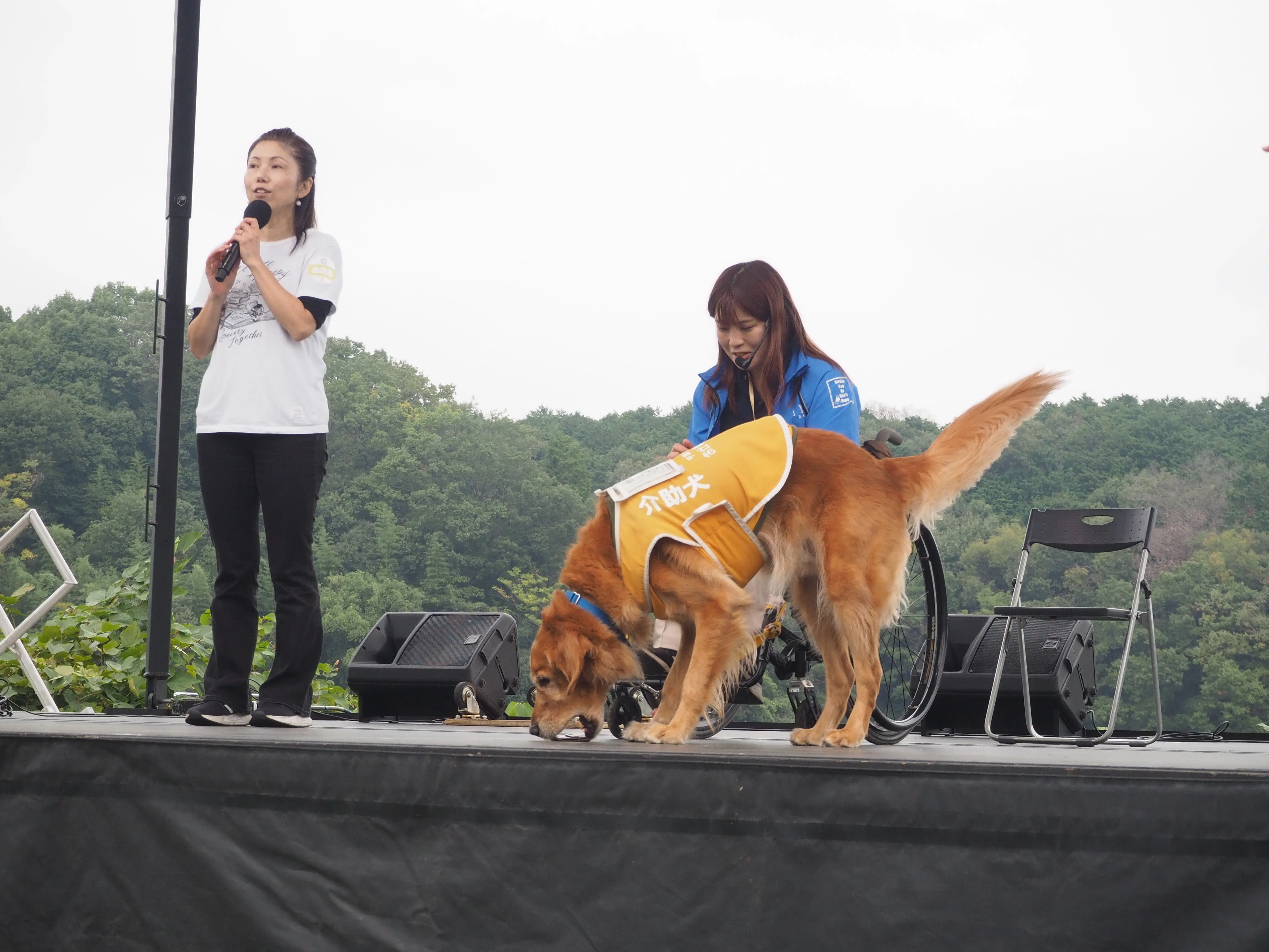 第24回「インターン体験記・補助犬を補助犬を身近に感じた一日」｜特定
