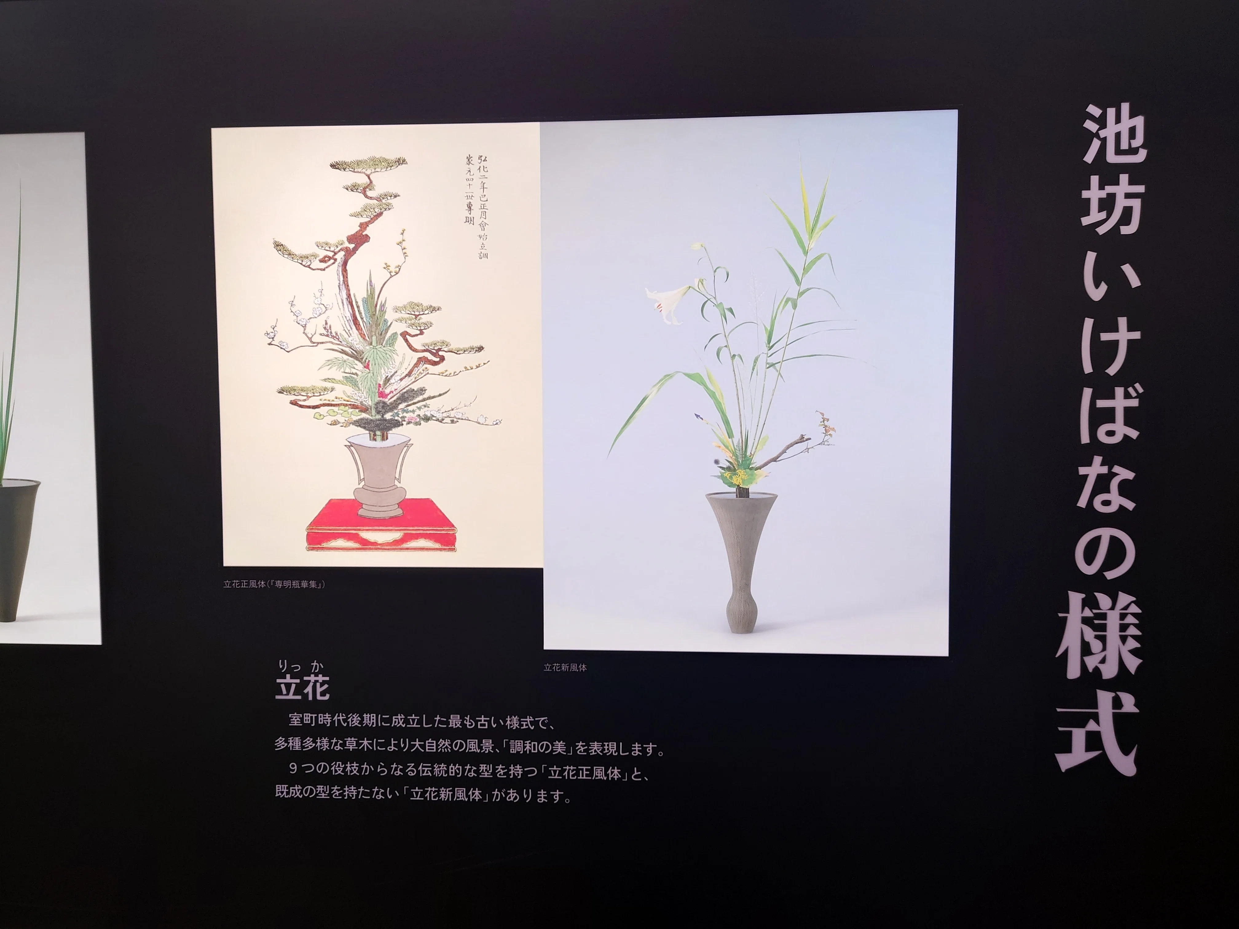 京都検定】華道まとめ｜Arie