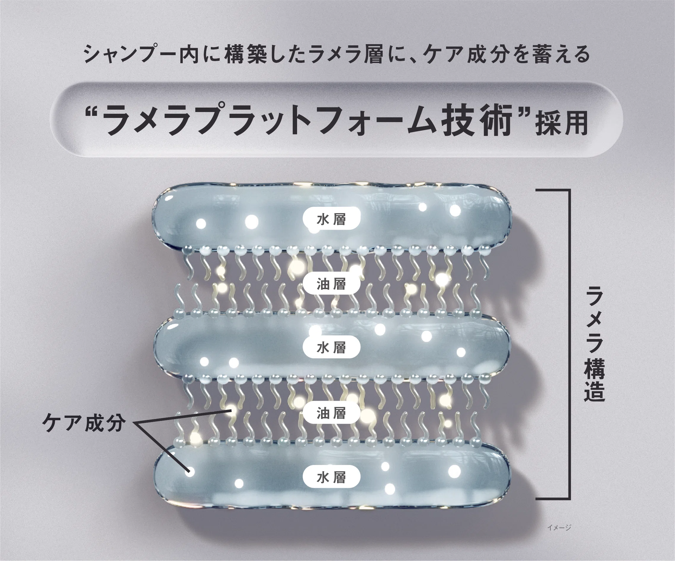 秘蔵資料とともに振り返る、花王のシャンプーの歴史と今｜花王 公式