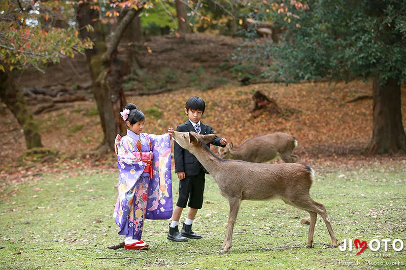 手向山八幡宮で七五三出張撮影